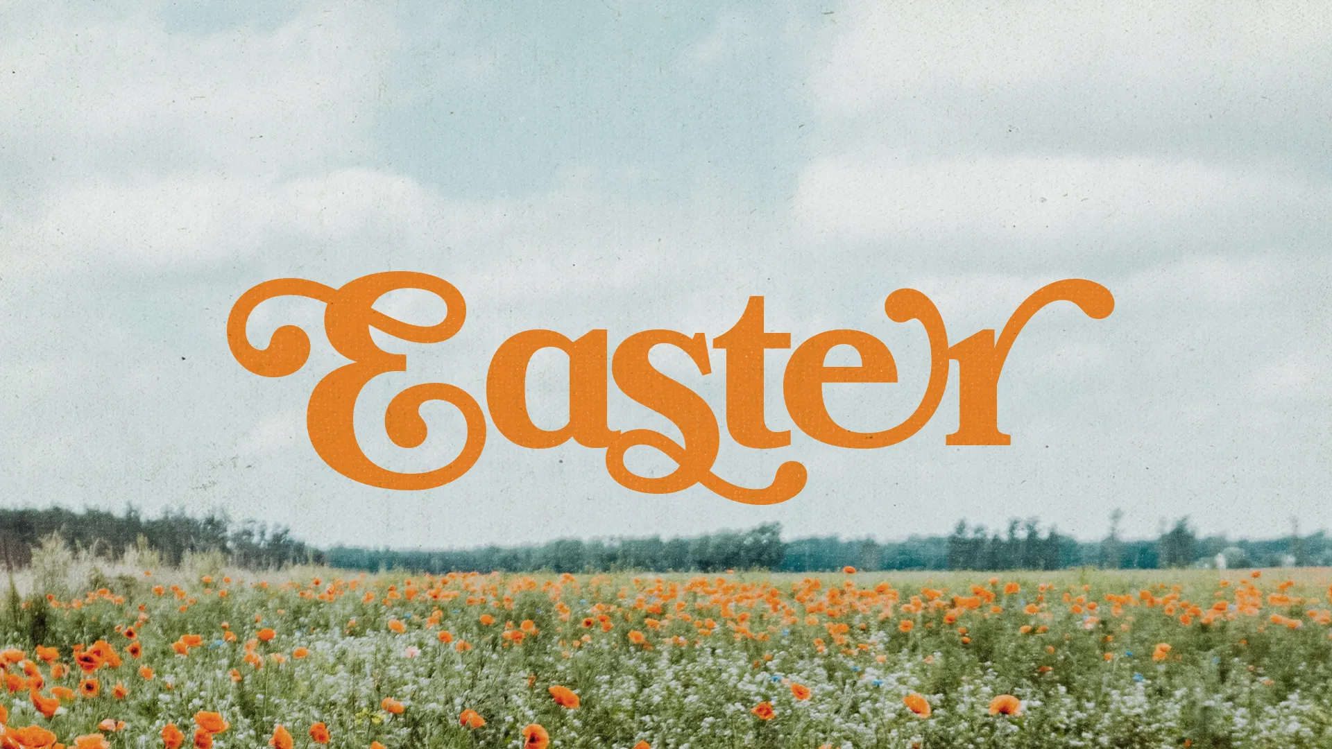Easter celebration text over a vibrant field of orange flowers, symbolizing renewal and community in faith.