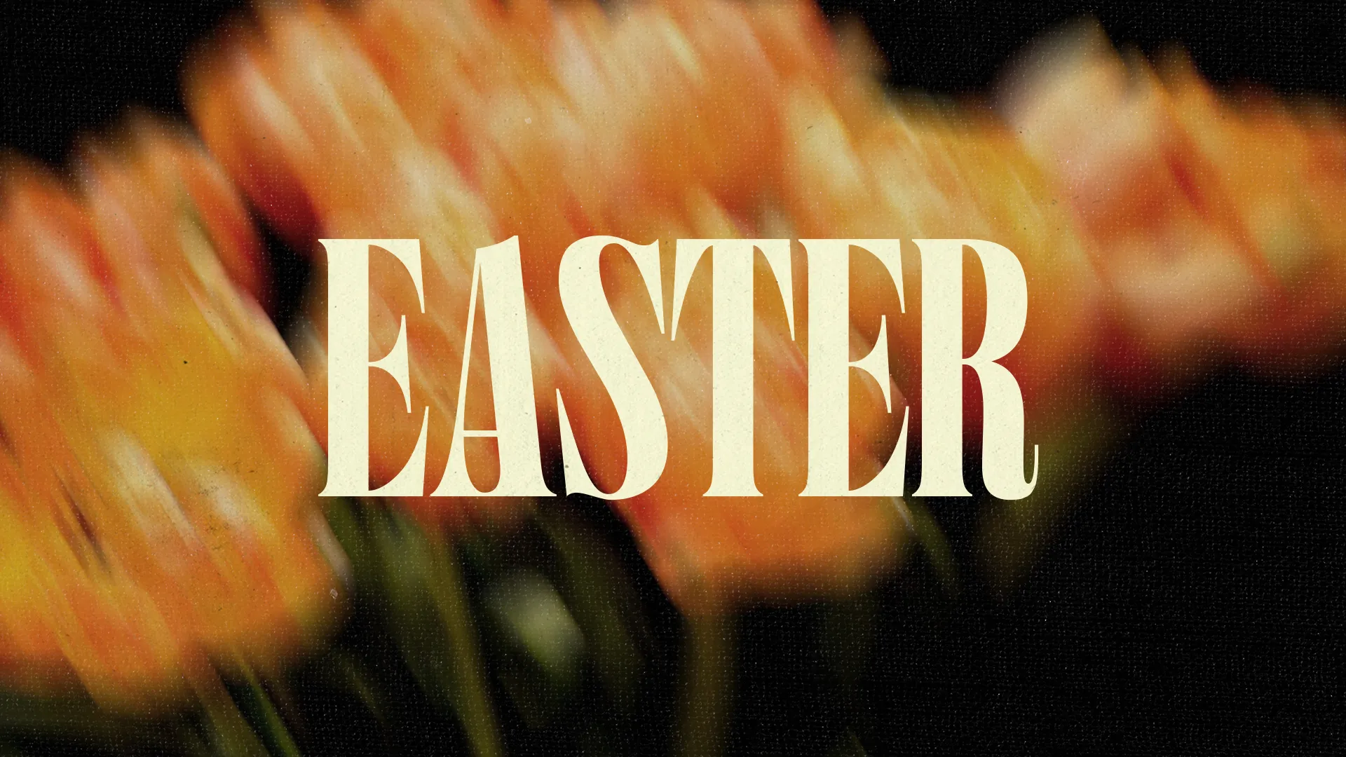 Easter celebration announcement with vibrant tulips, inviting community to worship and embrace faith together.