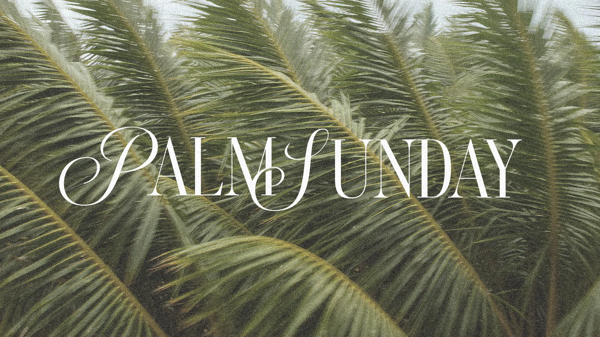 Green palm fronds with elegant text "Palm Sunday," symbolizing celebration and worship in the Christian faith.