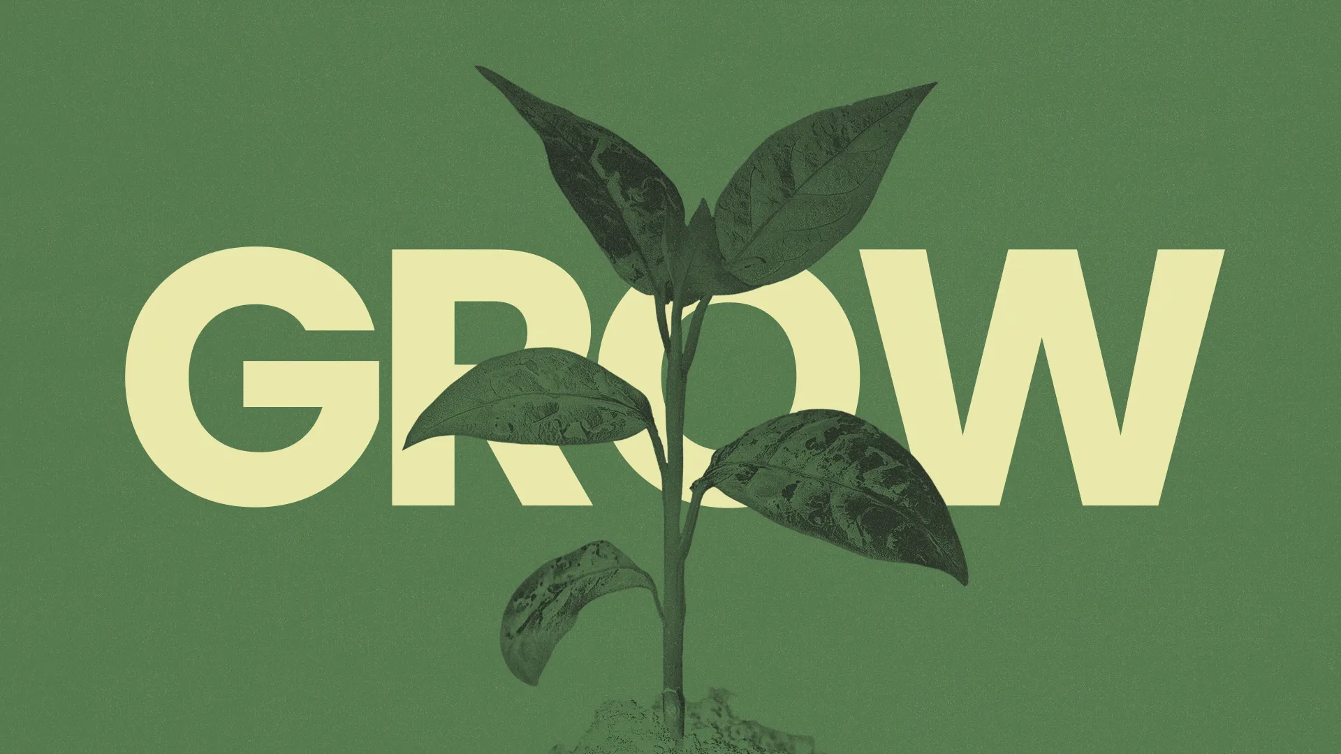 Green background features a vibrant plant growing alongside the word "GROW," symbolizing faith and spiritual growth.