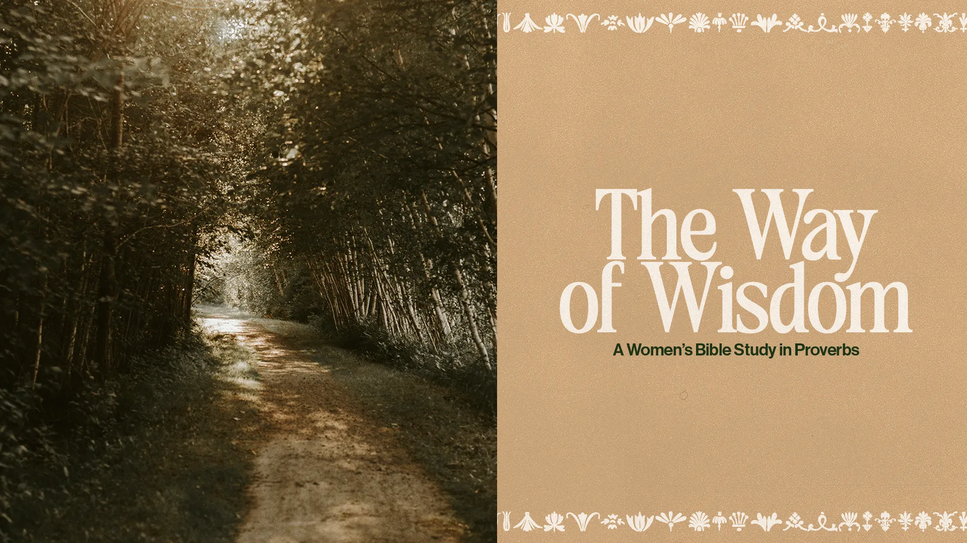 Pathway through trees, symbolizing spiritual journey; promotes "The Way of Wisdom" women's Bible study in Proverbs.