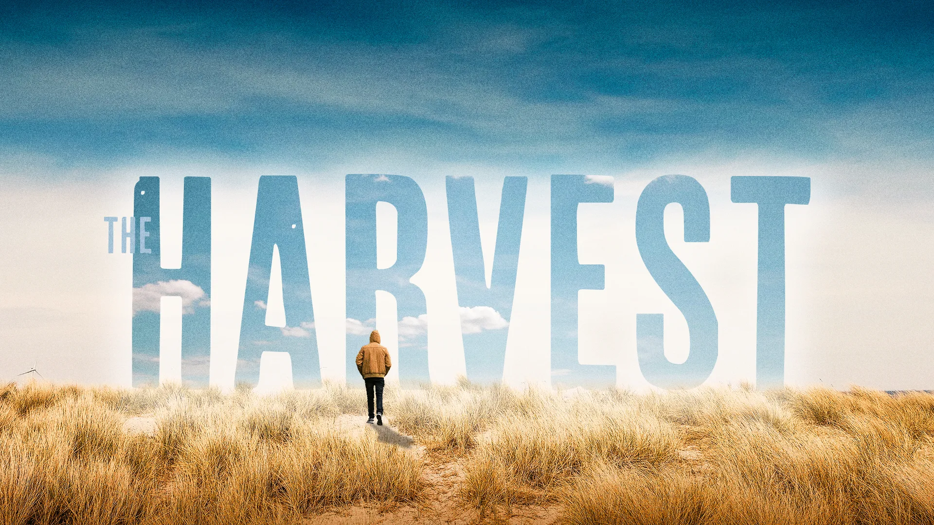 A person walks through golden grass under a bright sky, with "THE HARVEST" prominently displayed, symbolizing faith and community.
