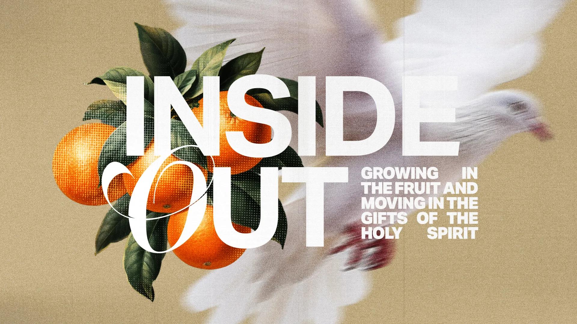 Dove in flight among vibrant oranges symbolizes growth in faith and the gifts of the Holy Spirit.