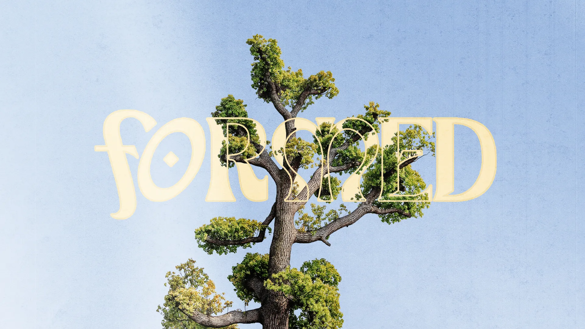 A vibrant tree symbolizes growth and renewal, with the word "FORGED" artistically integrated, conveying faith and community.