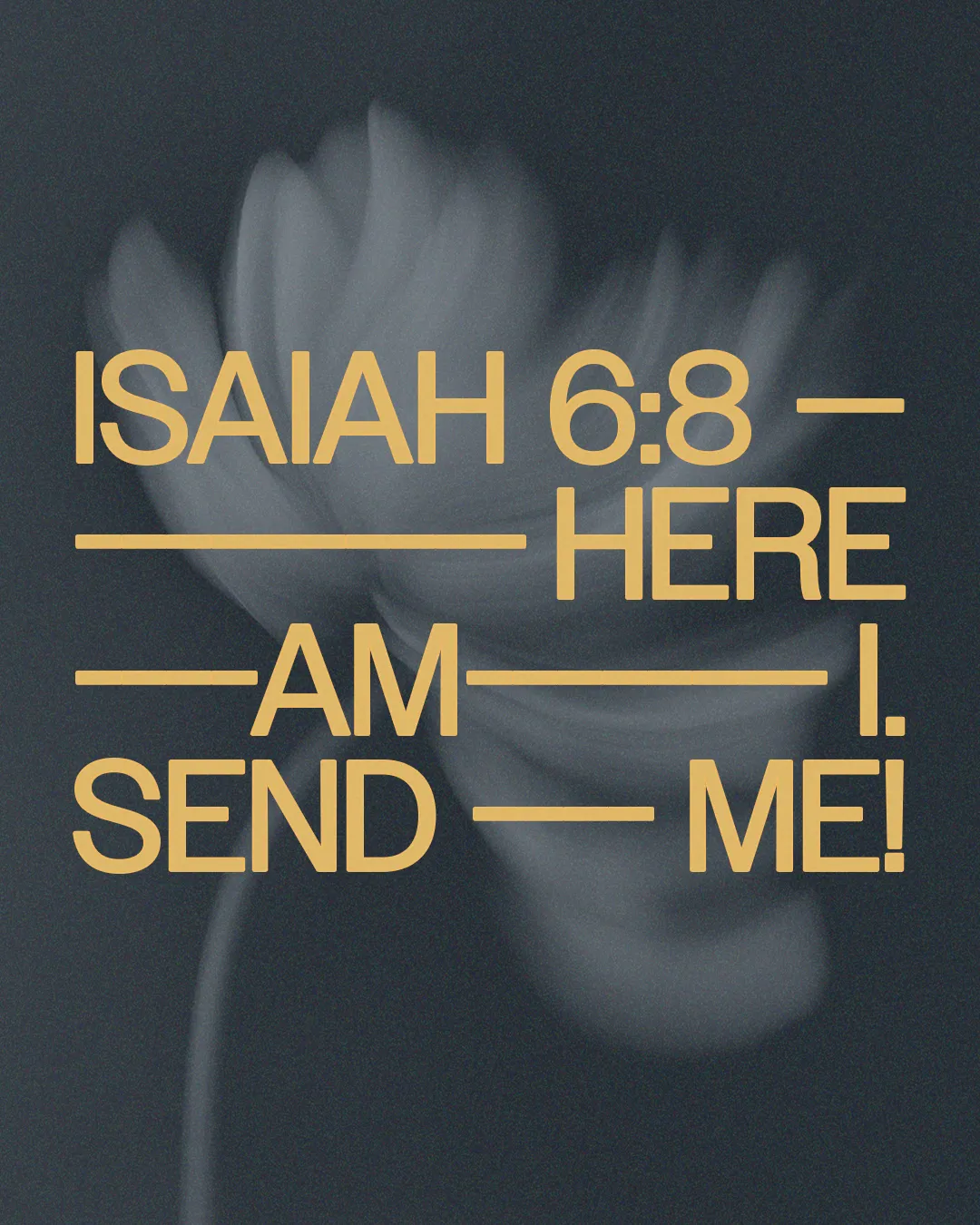 Isaiah 6:8 inspires commitment to service and faith, featuring a soft flower against a dark background.