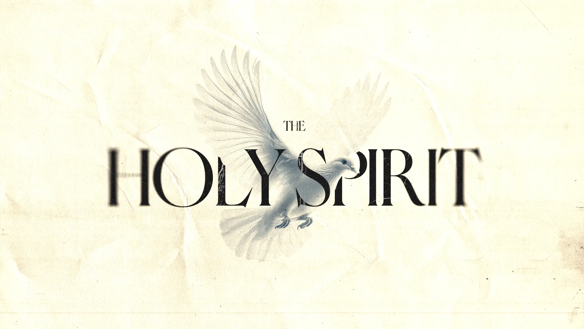 The Holy Spirit depicted with a dove, symbolizing faith, guidance, and divine presence in worship and community.