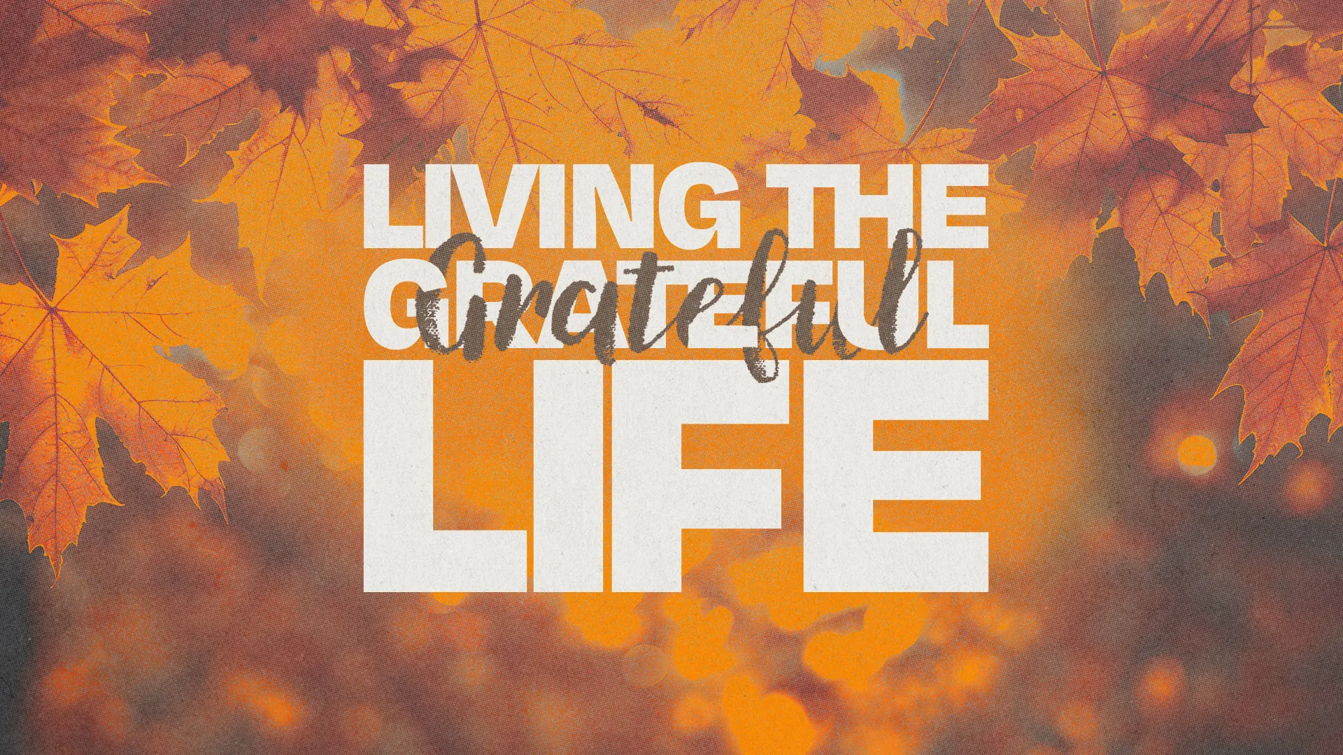 Autumn leaves with warm hues and the text "Living the Grateful Life," symbolizing gratitude and community in faith.