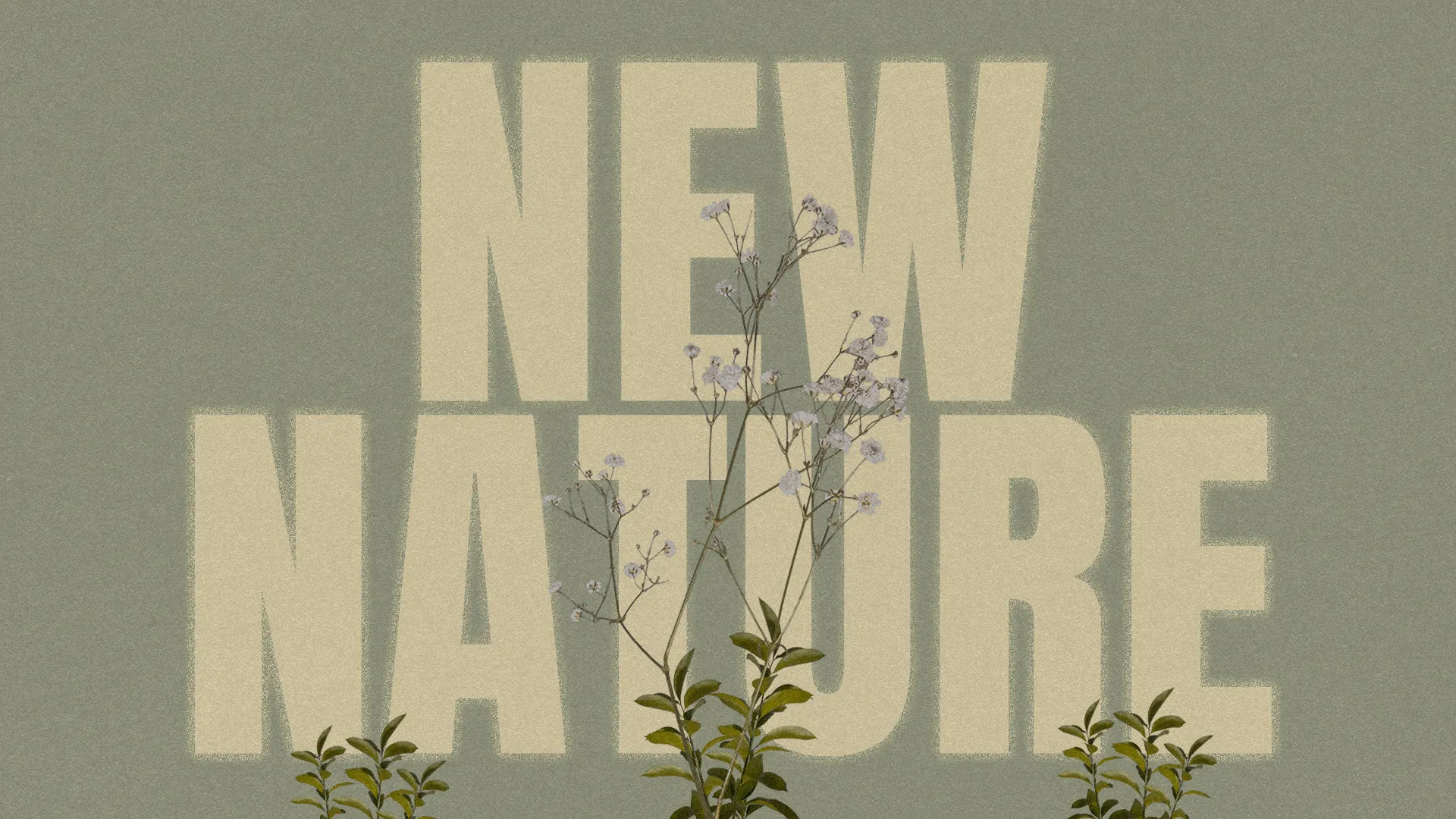 Floral elements with the phrase "New Nature" symbolize renewal and growth in faith and community.