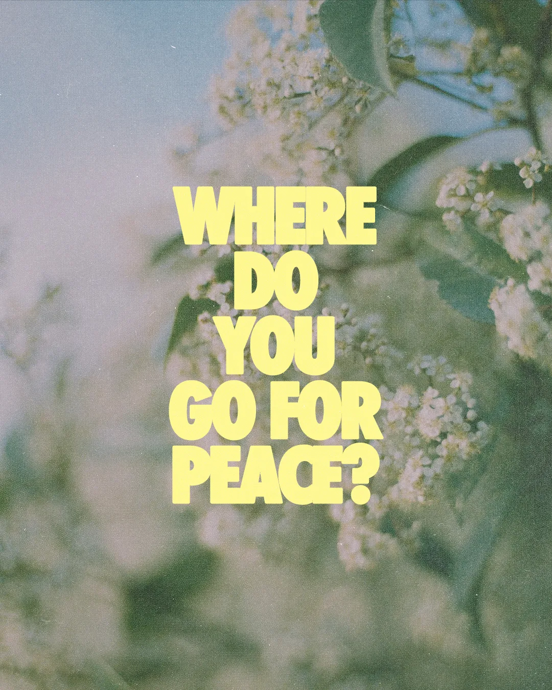 "Text asks, 'Where do you go for peace?' surrounded by soft floral imagery, inviting reflection on faith and community."