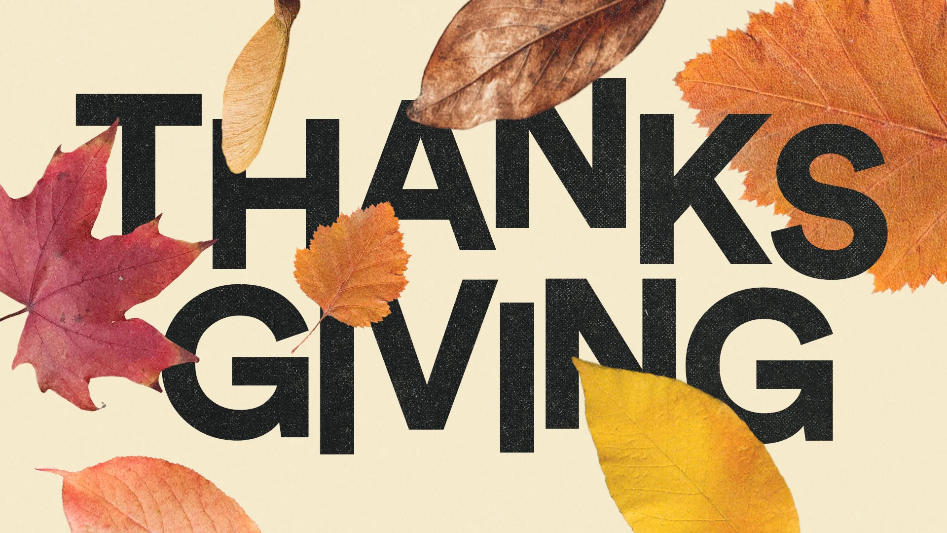 Bold text reads "THANKSGIVING" surrounded by colorful autumn leaves, symbolizing gratitude and community in faith.
