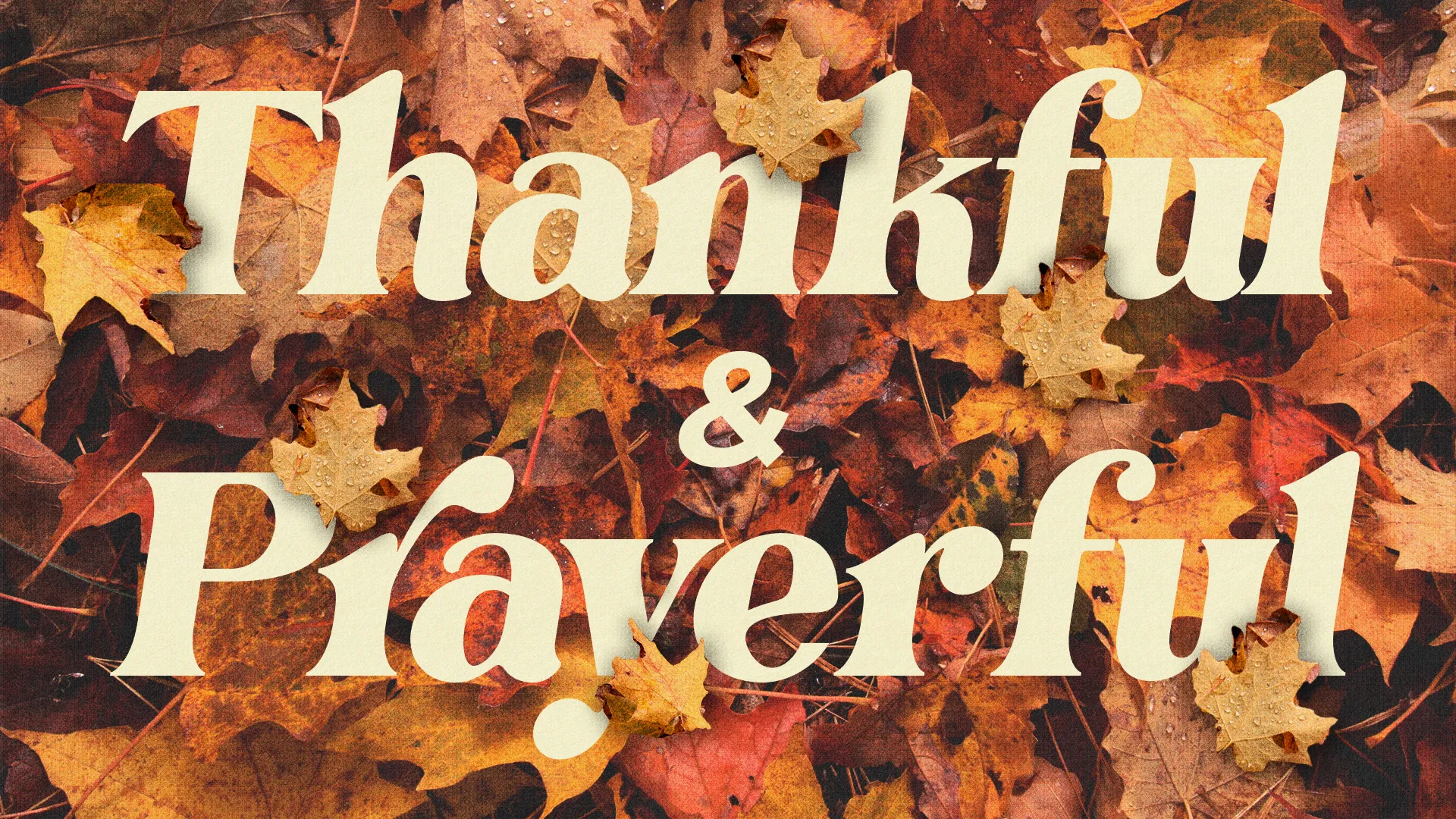 Thankful and prayerful text over a bed of autumn leaves, symbolizing gratitude and reflection in faith.