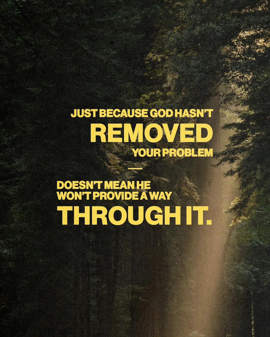 Light breaks through a forest, symbolizing hope and faith amidst challenges, with an encouraging message about God's provision.
