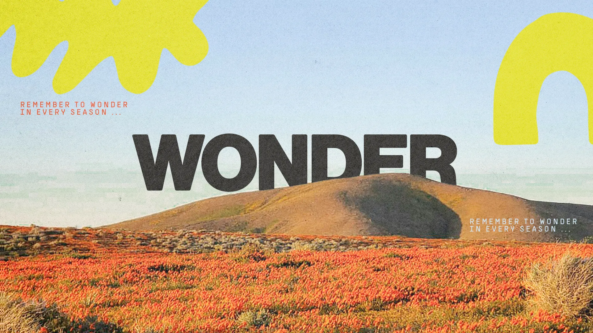 Vibrant landscape with blooming flowers and hills, emphasizing wonder and faith in every season of life.