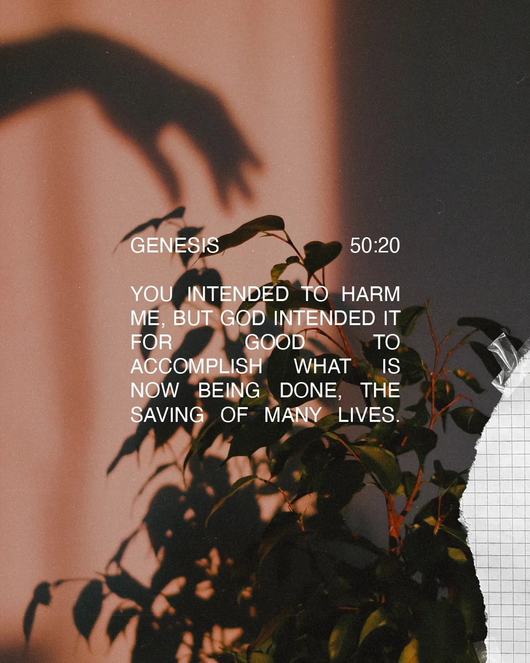 Genesis 50:20 highlights God's purpose in adversity, surrounded by soft shadows and greenery, symbolizing hope and renewal.