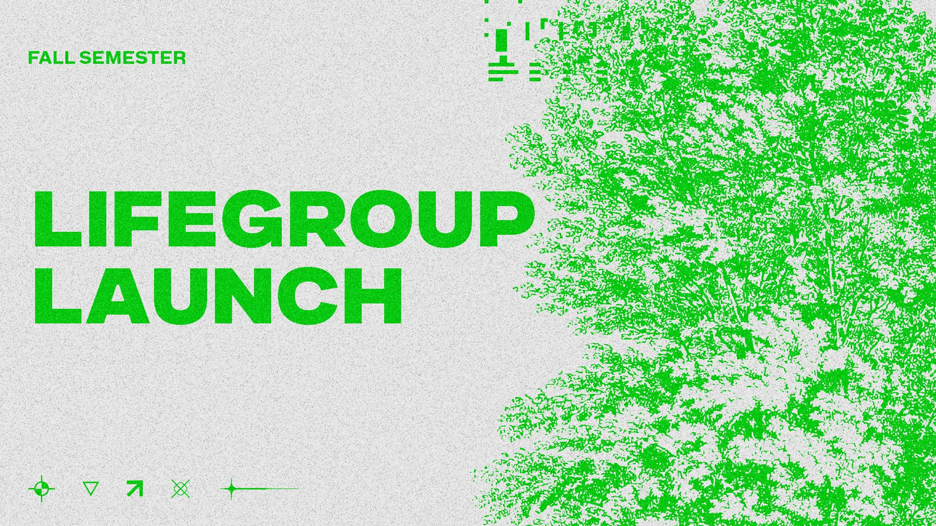 Lifegroup launch announcement for fall semester, featuring vibrant green tree imagery symbolizing growth and community.