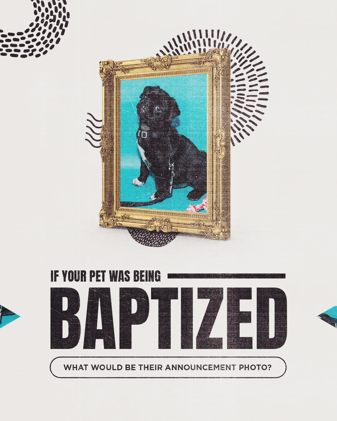 Framed dog photo with text pondering pet baptism, blending humor and spirituality in a creative church context.