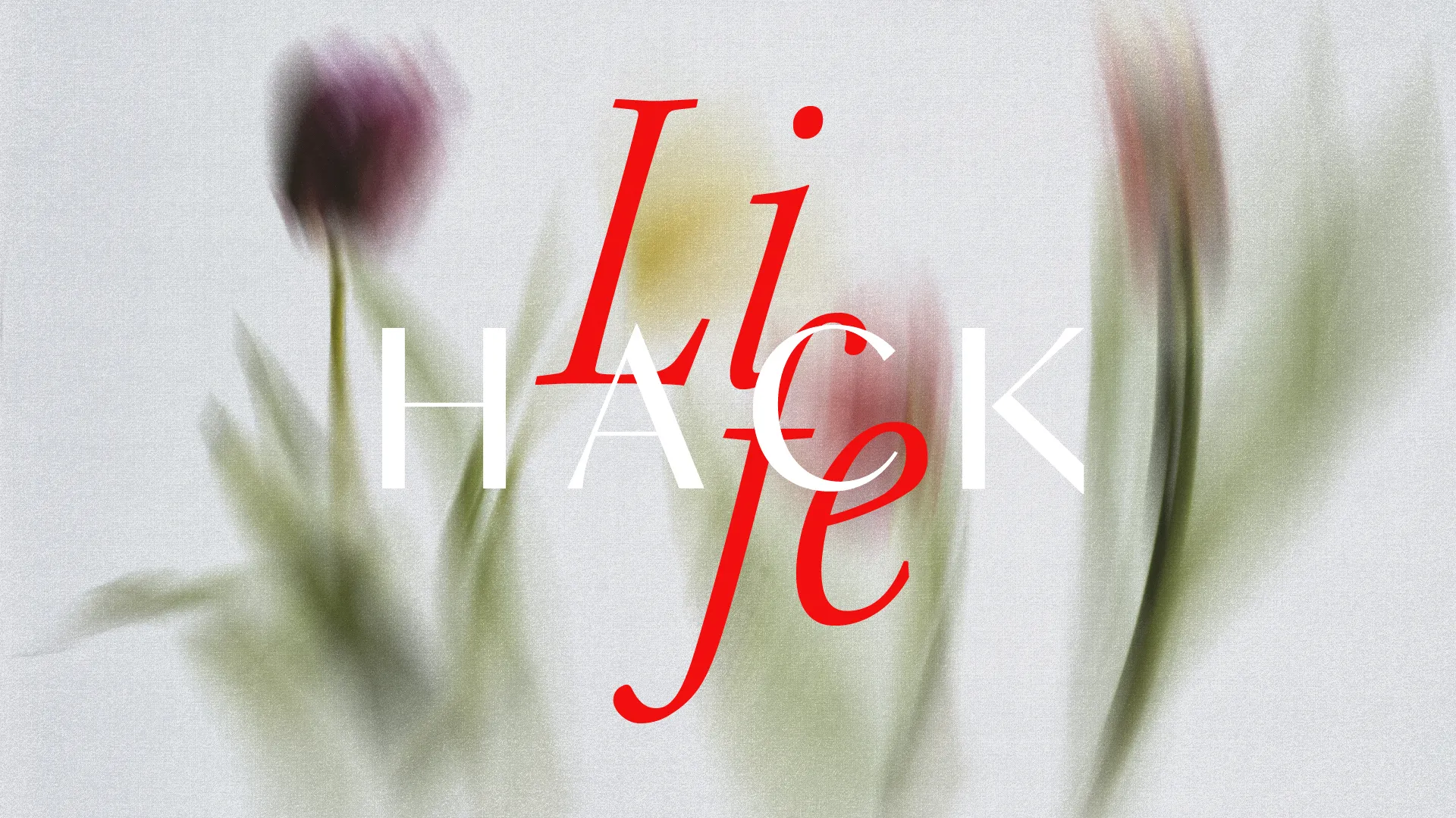 Floral background with the word "LIFE" in vibrant red and white, symbolizing growth and renewal in faith.