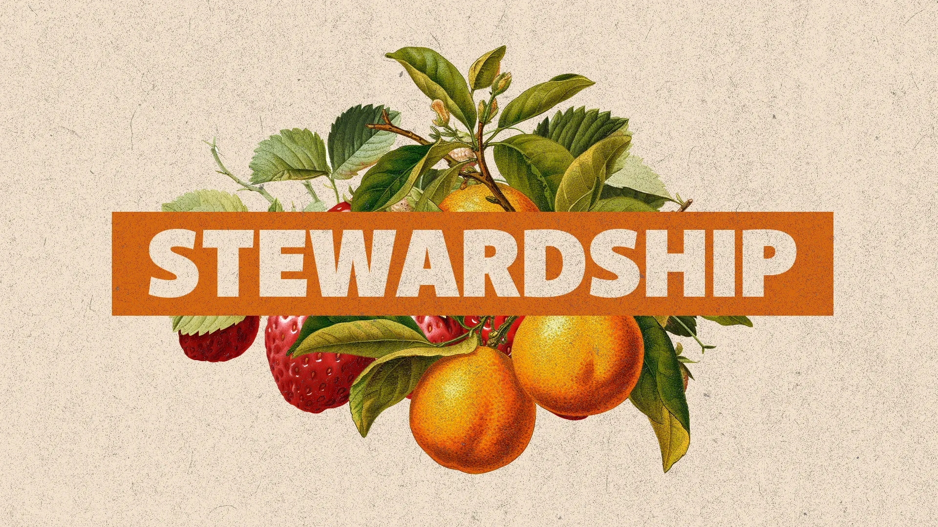 "Stewardship" text over fruit and leaves, symbolizing growth and responsibility in faith and community.