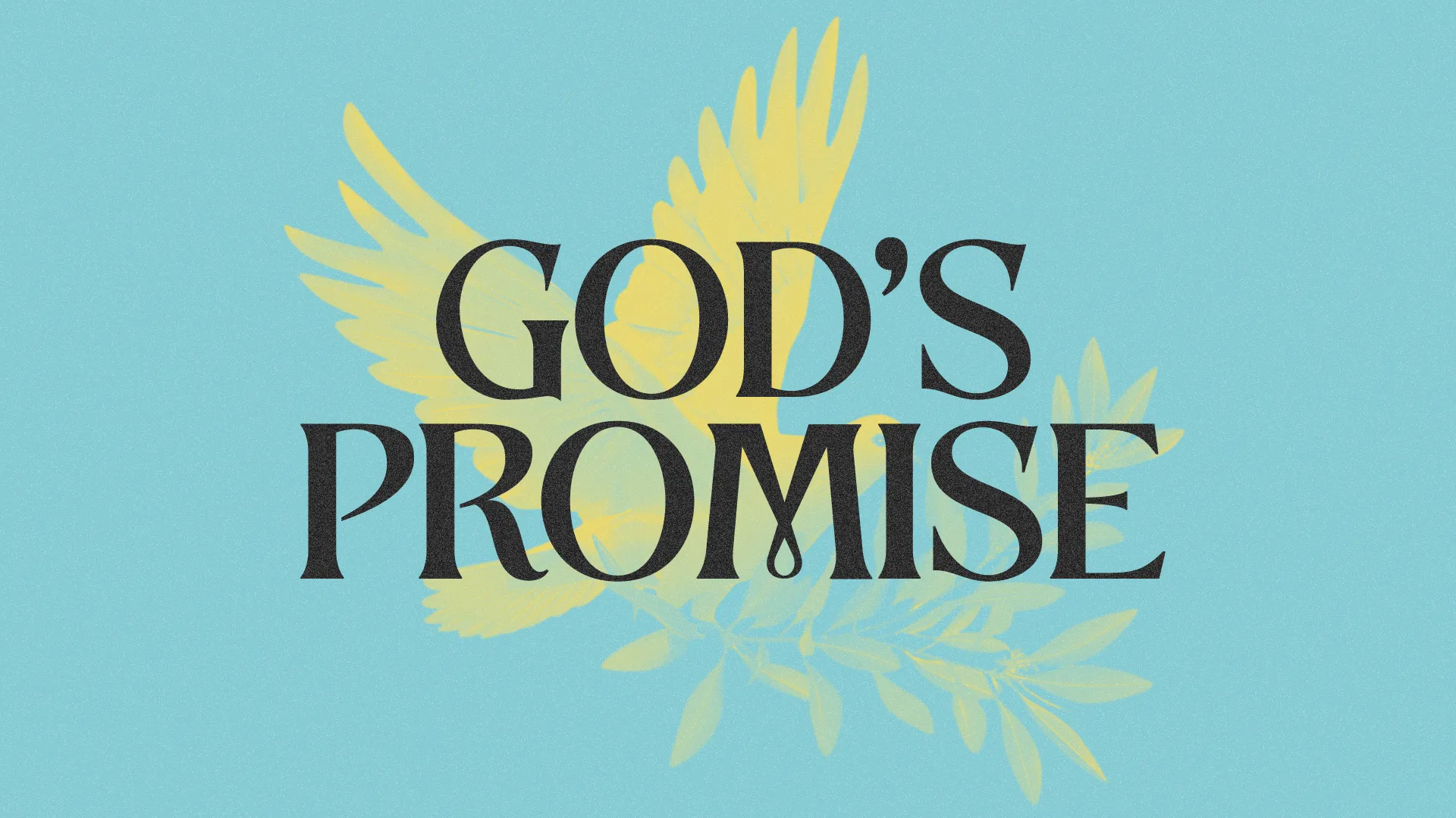 God’s Promise