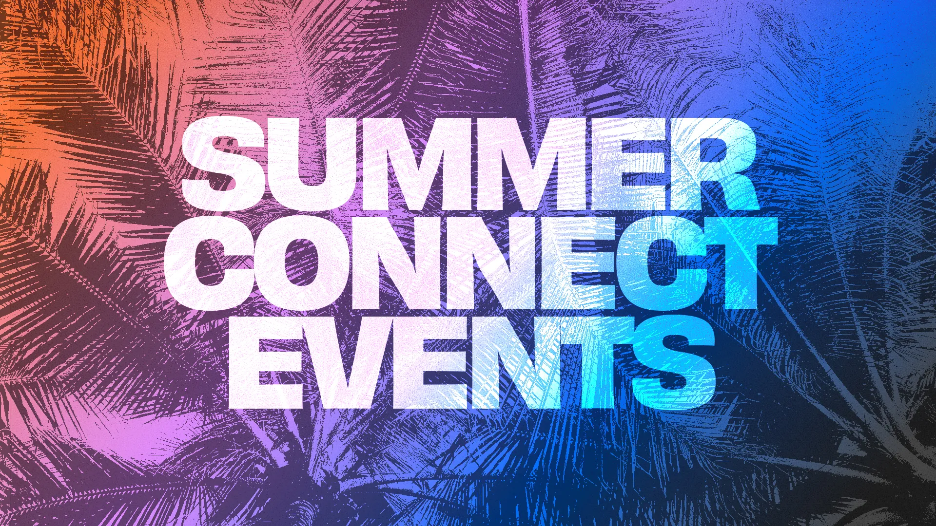 Summer Connect Events