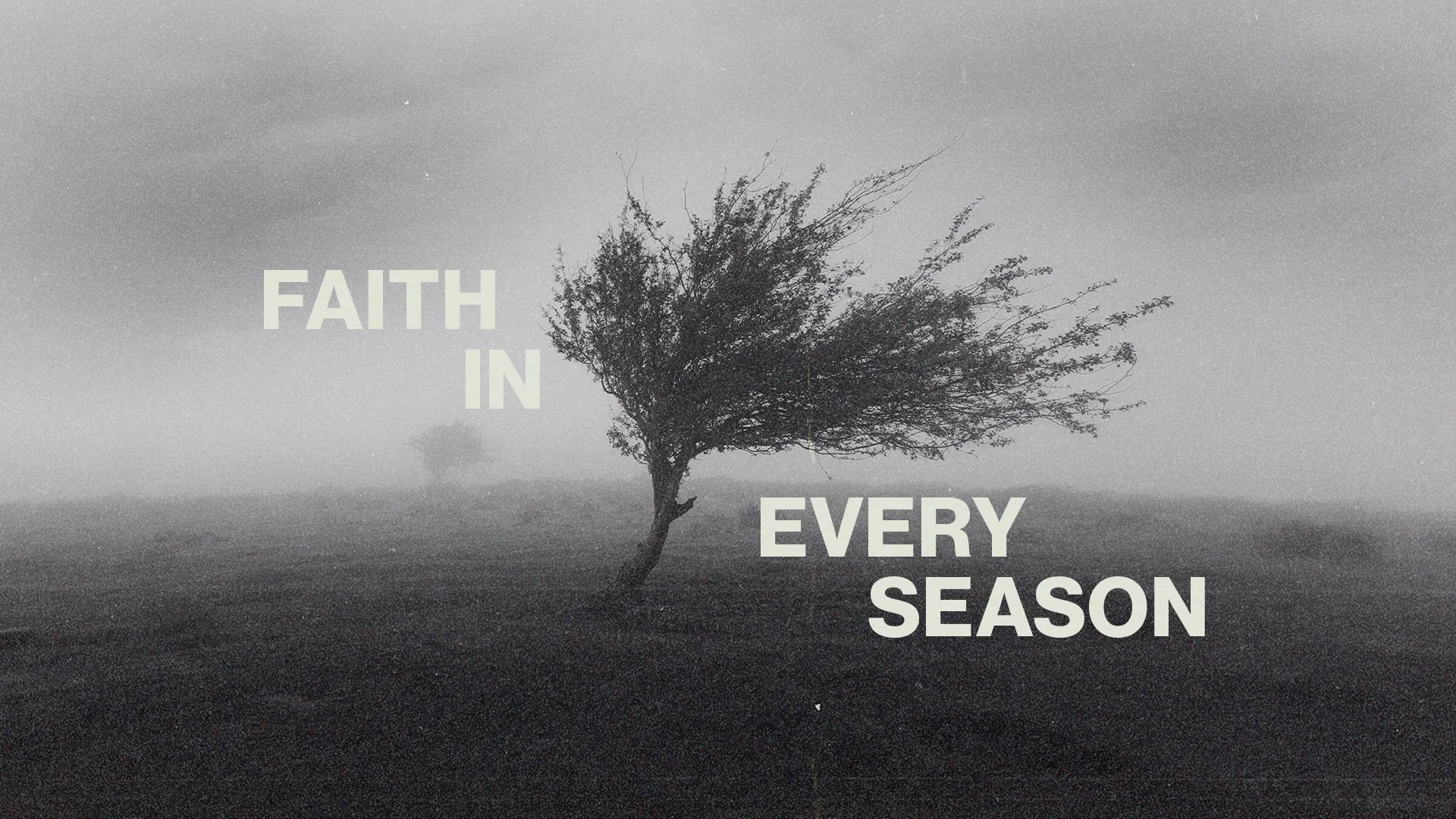 Lone tree in fog with text "Faith in Every Season," symbolizing resilience and spiritual strength through life's challenges.