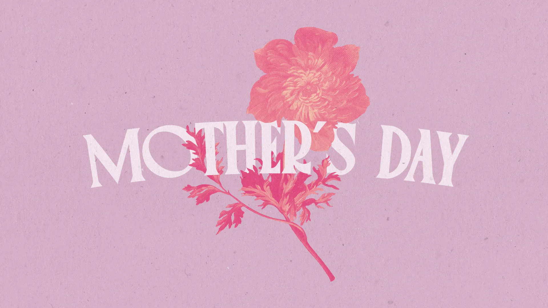 Simple white "MOTHER'S DAY" text overlapping with vintage pink peony illustration on textured lavender background for church Mother's Day celebration