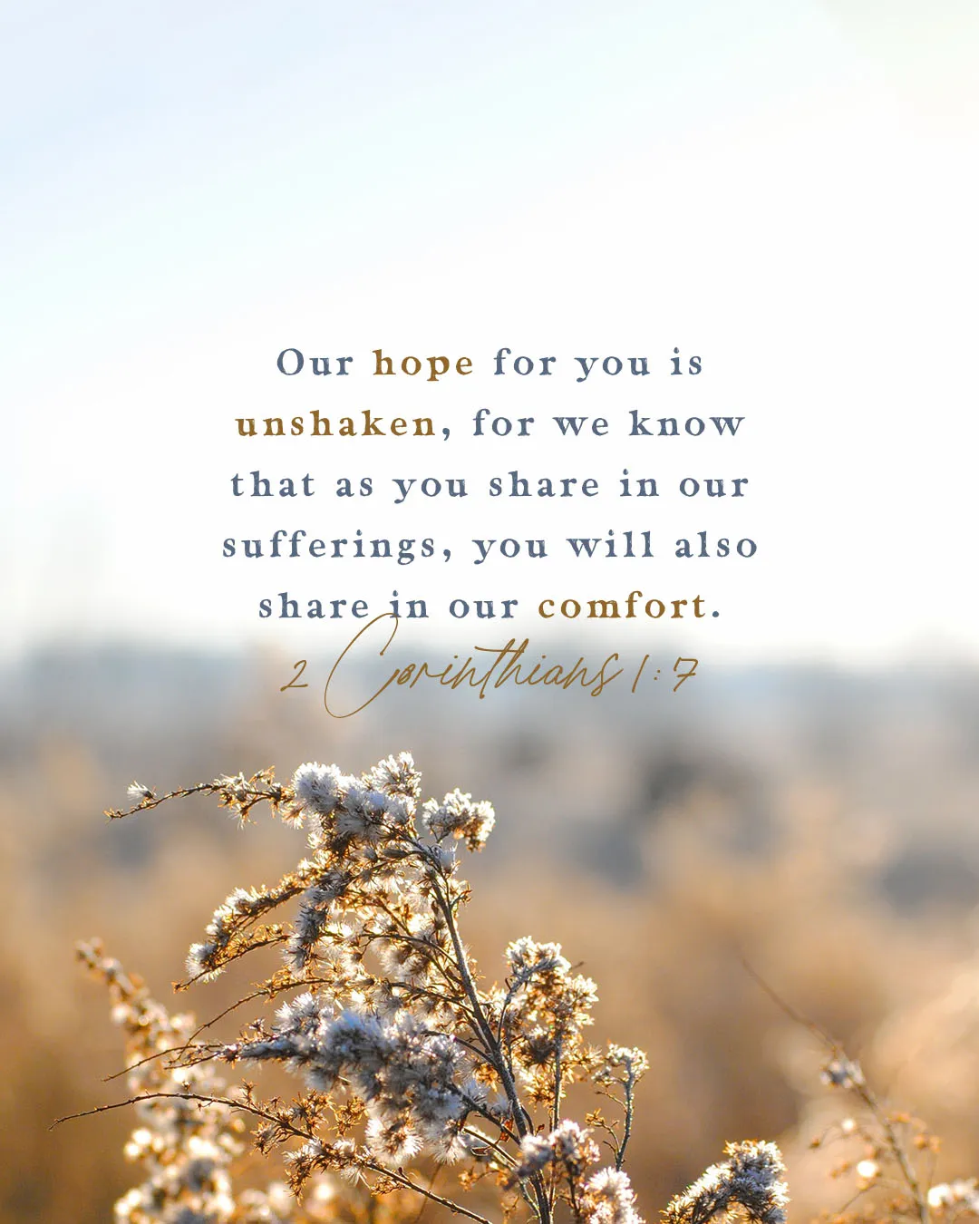Photo-driven social media template with soft wildflower foreground and blurred landscape background featuring 2 Corinthians 1:7 about unshaken hope and sharing in suffering and comfort in mixed brown and blue typography