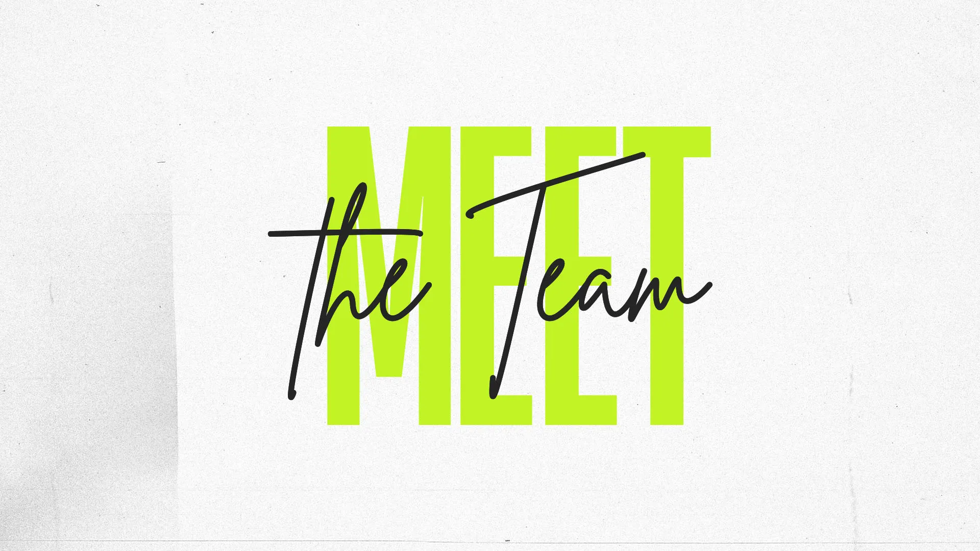 Meet The Team