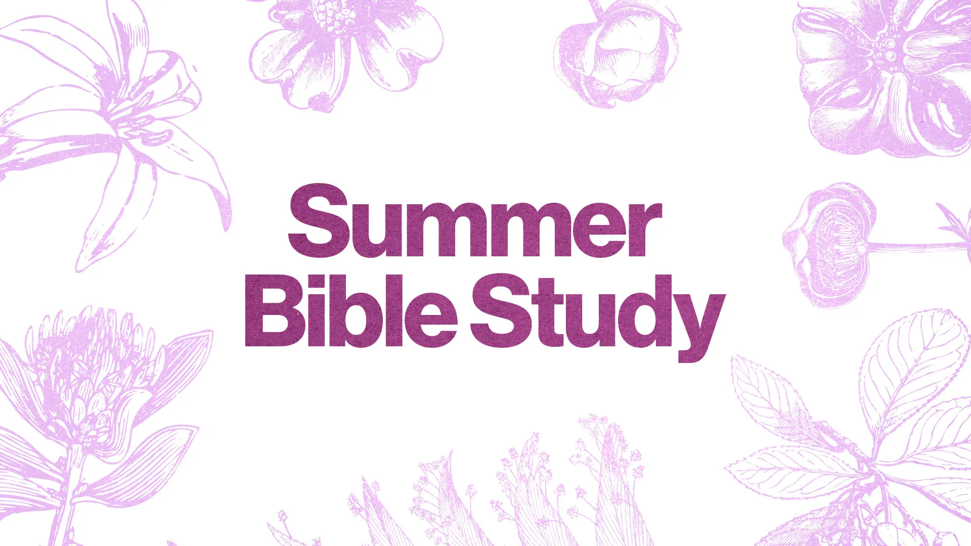 Summer Bible Study