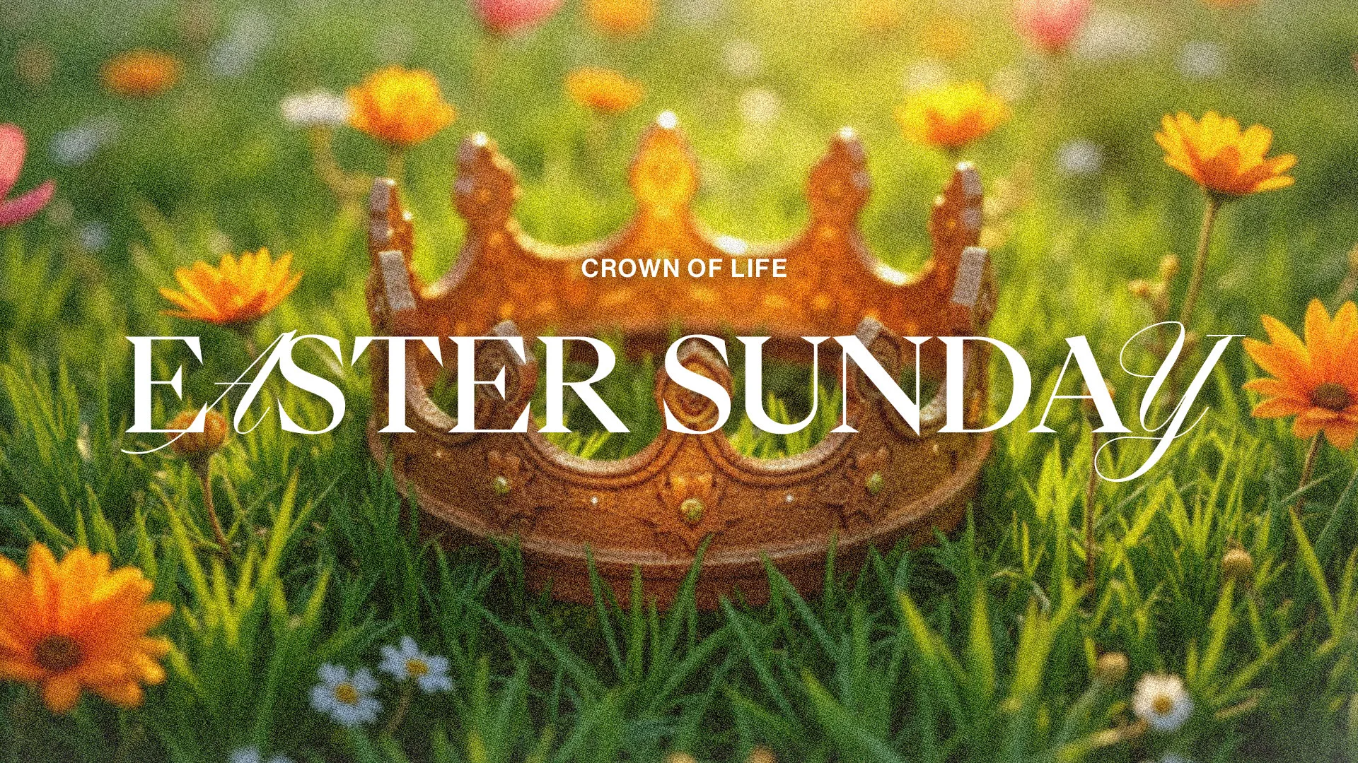 Easter Sunday: Crown of Life