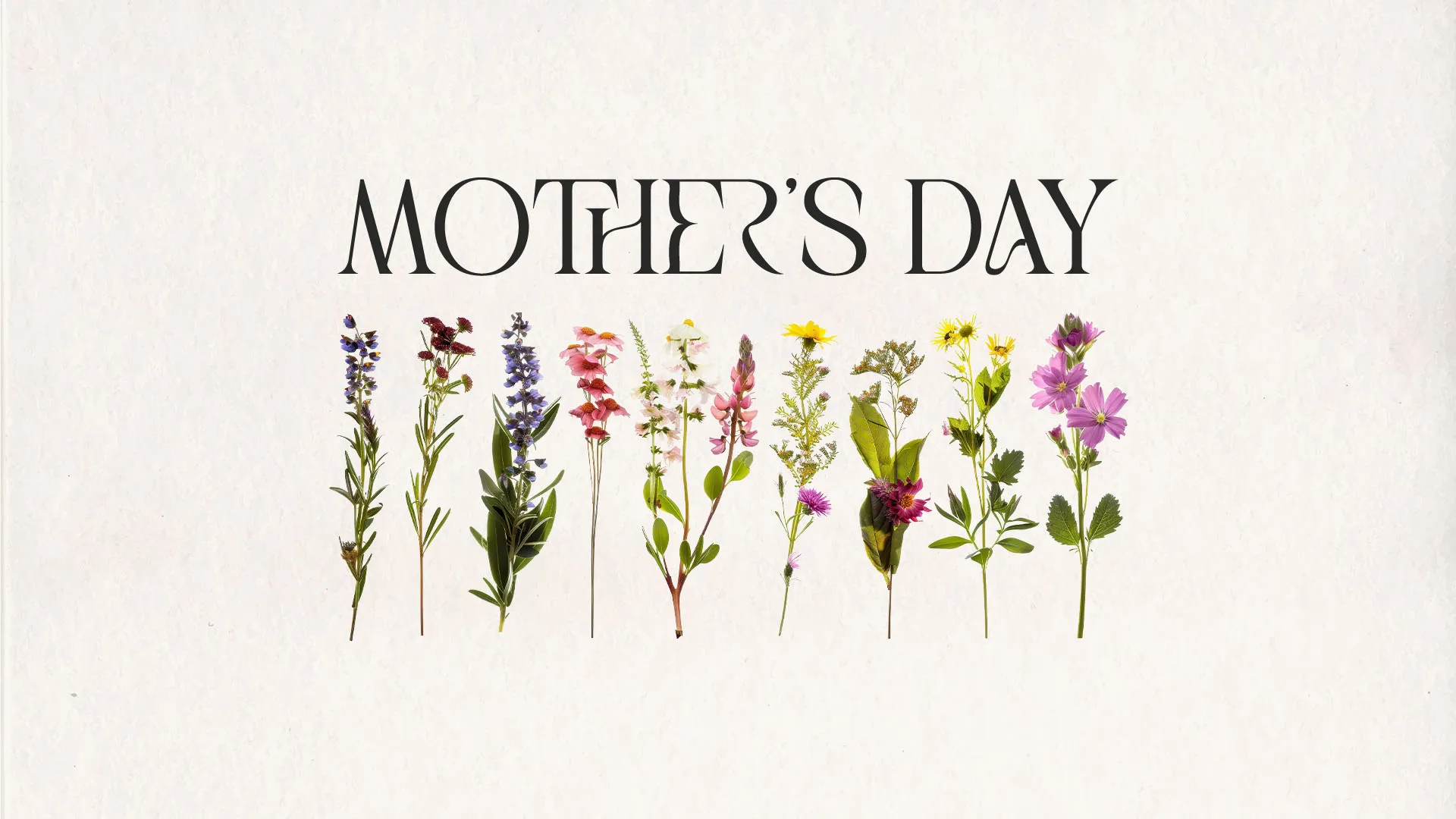 Mother's Day church media graphic with elegant typography and colorful wildflowers arranged in a row on cream textured background