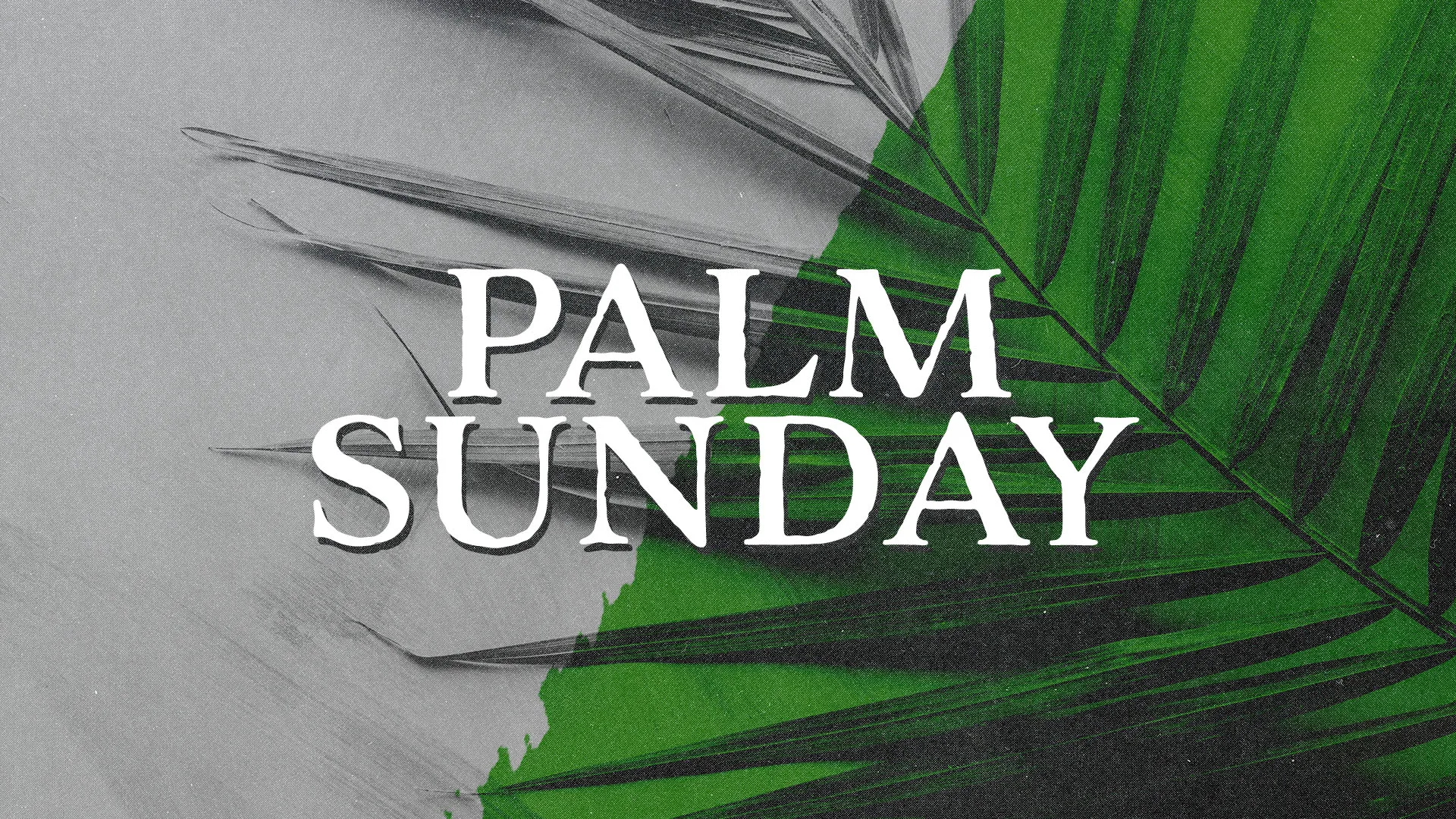 Grunge-style Palm Sunday church media featuring bold white text overlaid on contrasting gray and green palm leaf background for Holy Week services.