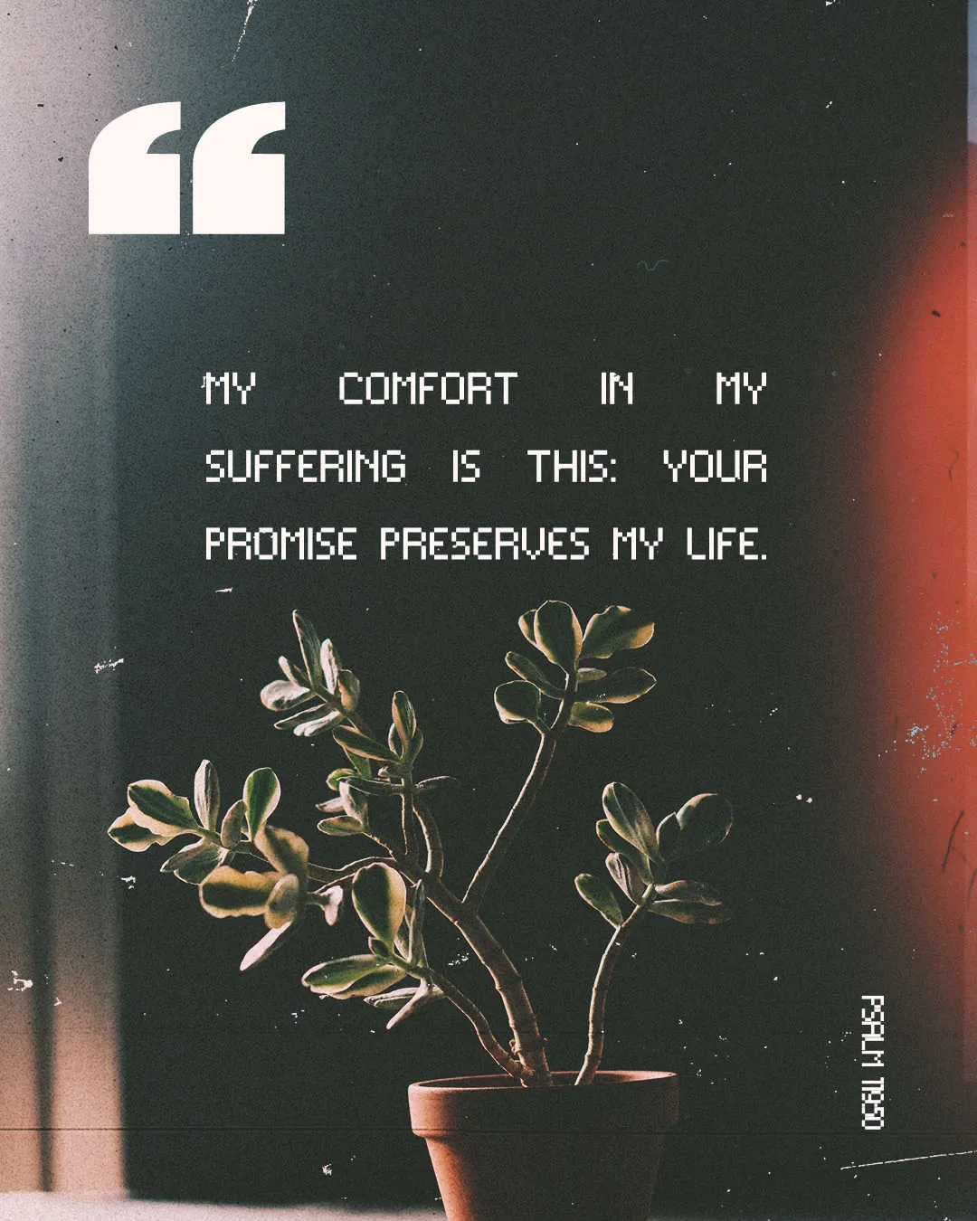 Grunge-style church media featuring Psalm 119:50 "My comfort in my suffering is this: Your promise preserves my life" with potted plant against dark textured background.