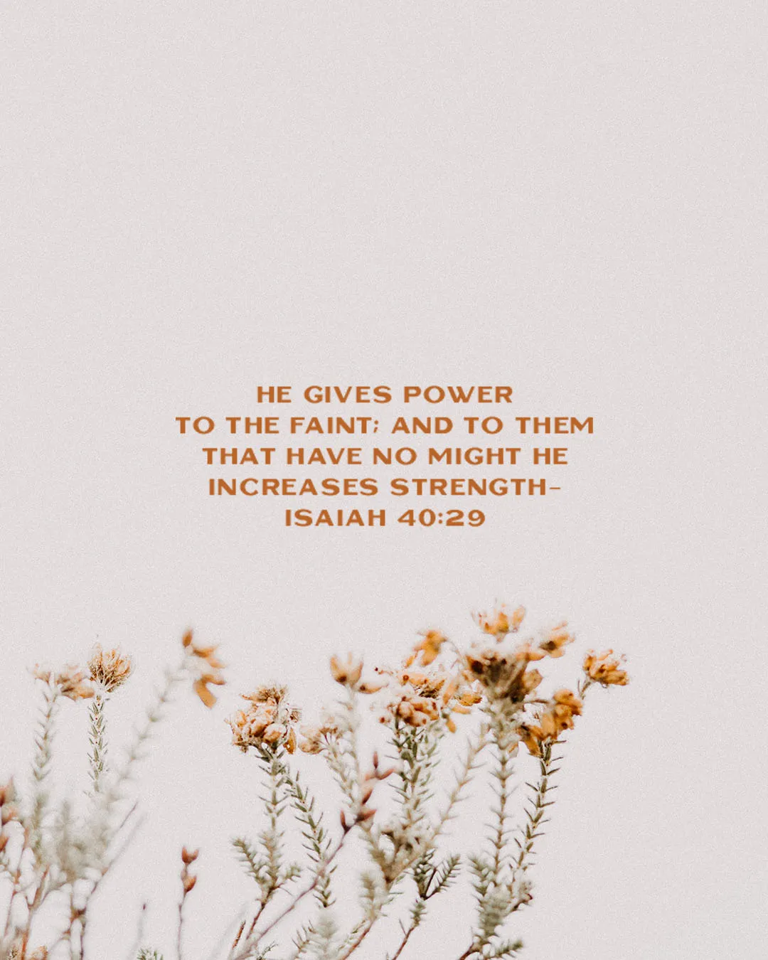 Minimal church media template featuring Isaiah 40:29 "He gives power to the faint" with delicate wildflowers against cream background