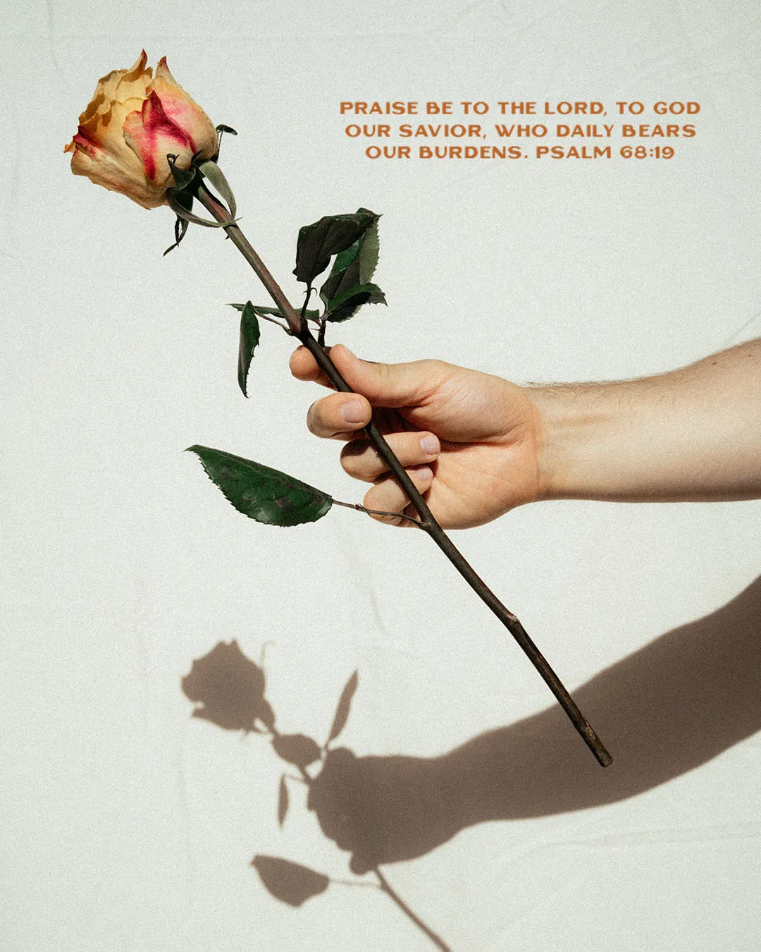 Photo-driven church media showing a hand holding a delicate rose with Psalm 68:19 text about God bearing our burdens daily, on a cream background with soft shadows.