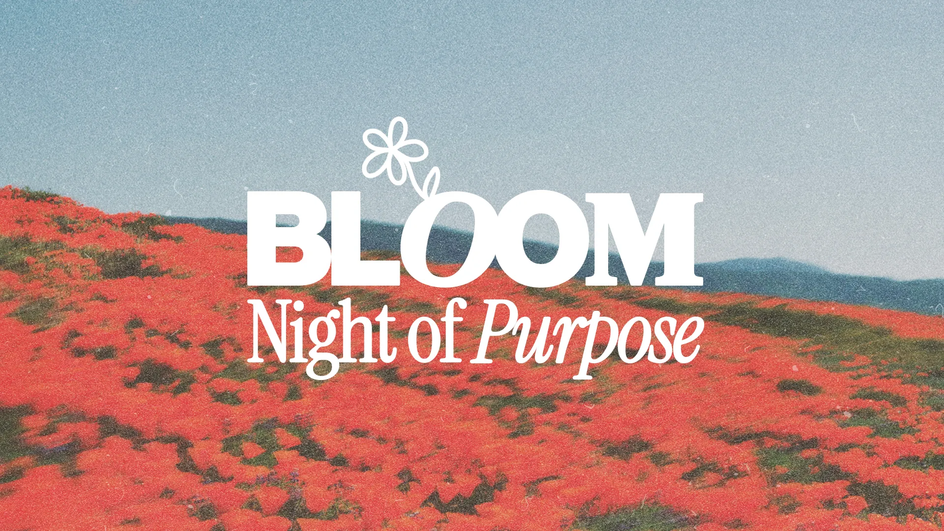 Vibrant poppy field under a clear sky, promoting a church event titled "Bloom: Night of Purpose."