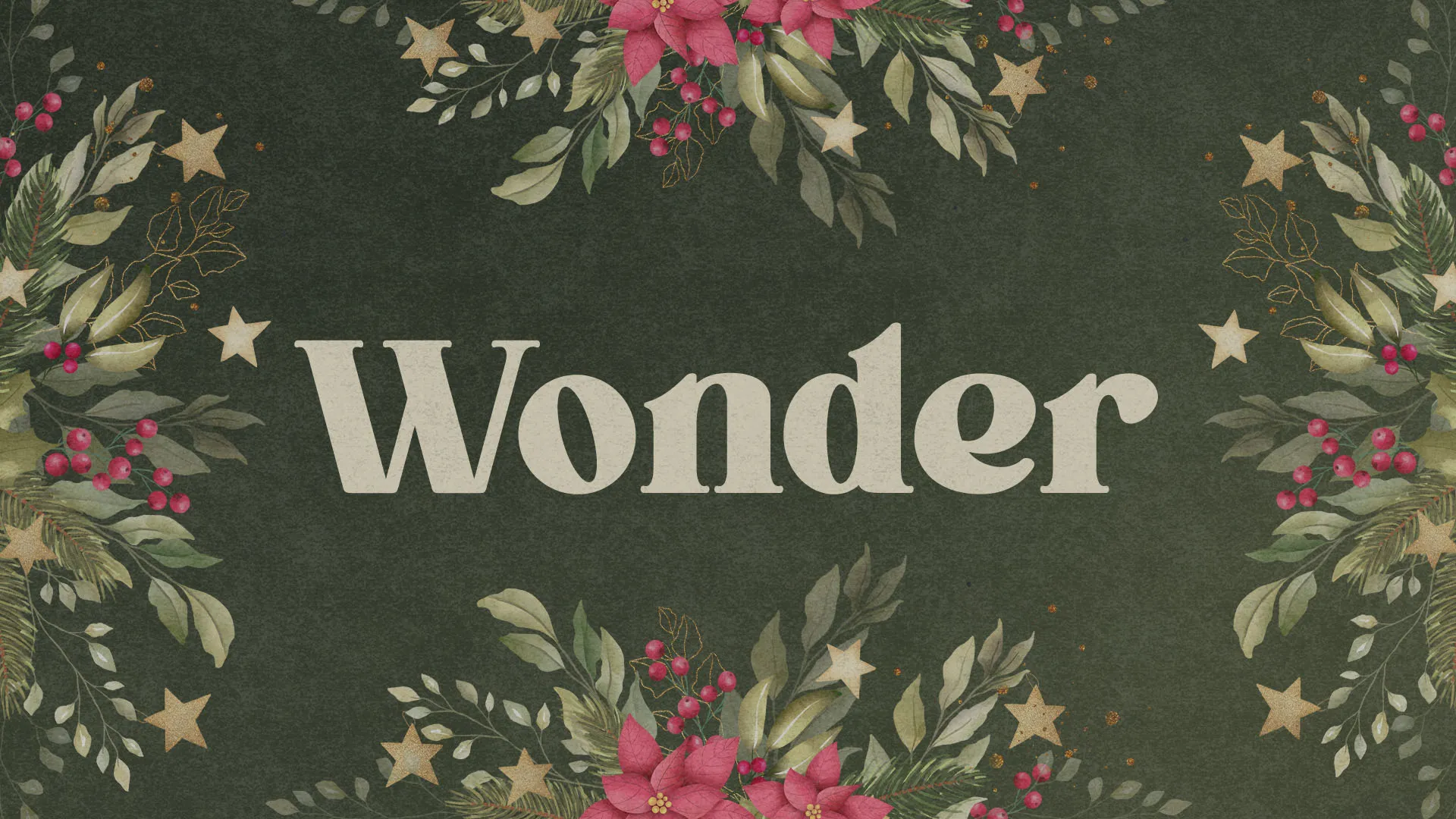 Wonder