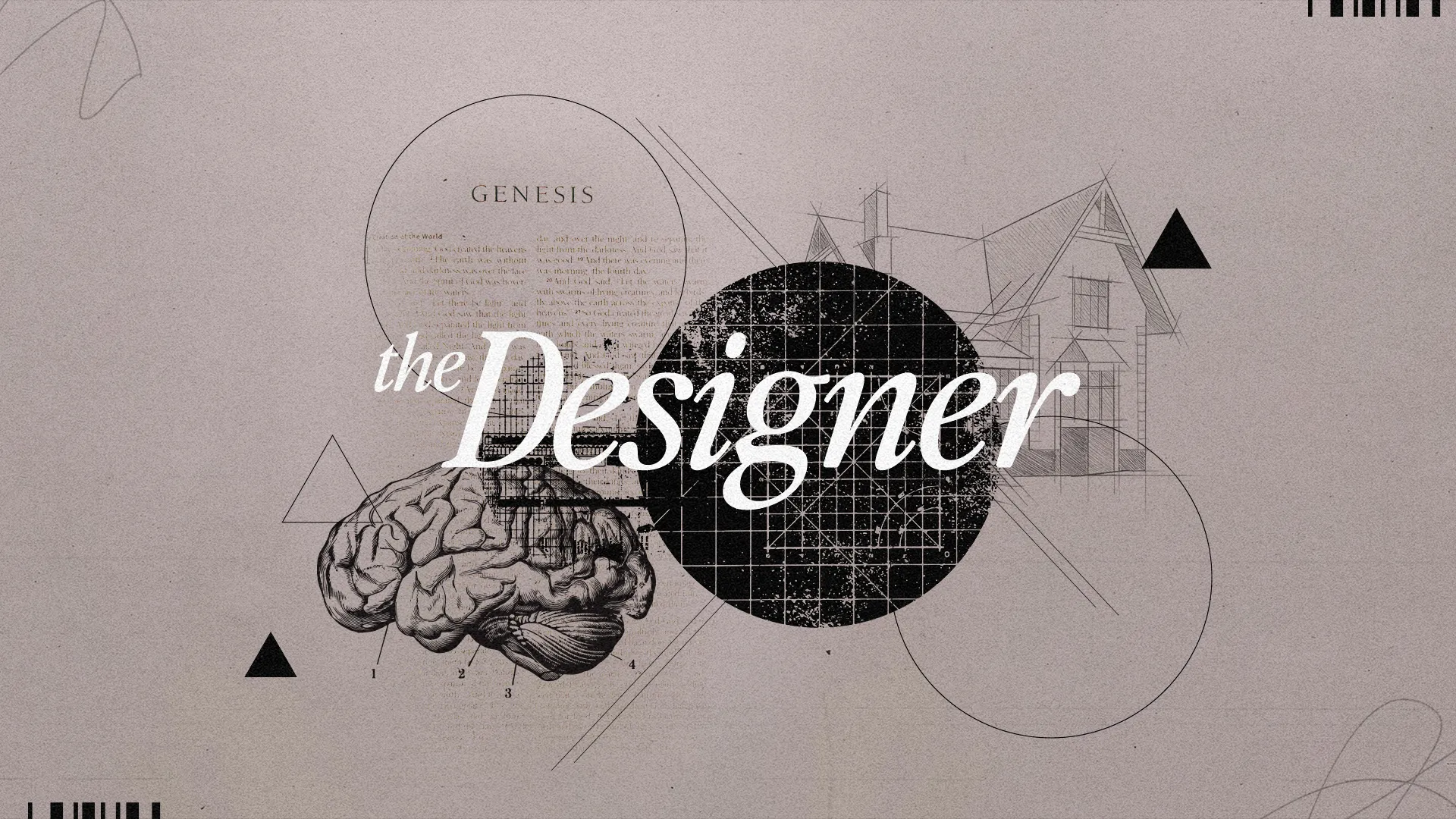 Minimalist church media graphic for 'The Designer' sermon series featuring vintage brain illustration, geometric shapes, and Genesis text overlay on light gray background