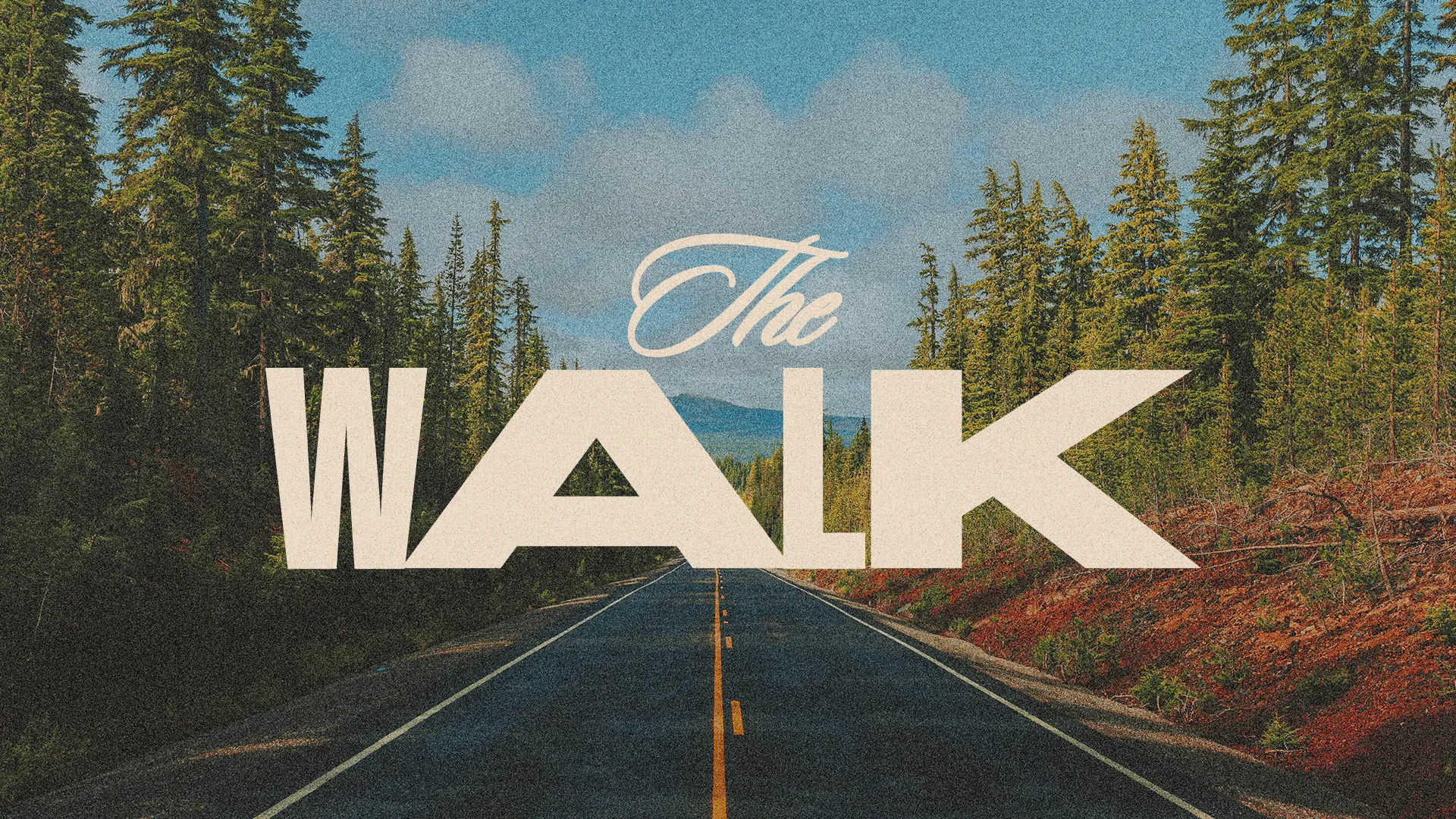 A serene road through tall trees symbolizes the journey of faith and community in worship and spiritual growth.