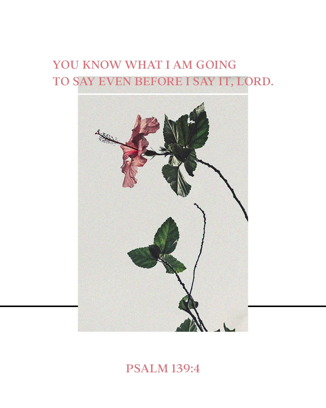 Minimalist church media graphic featuring Psalm 139:4 verse "You know what I am going to say even before I say it, Lord" with delicate pink hibiscus flower against cream background