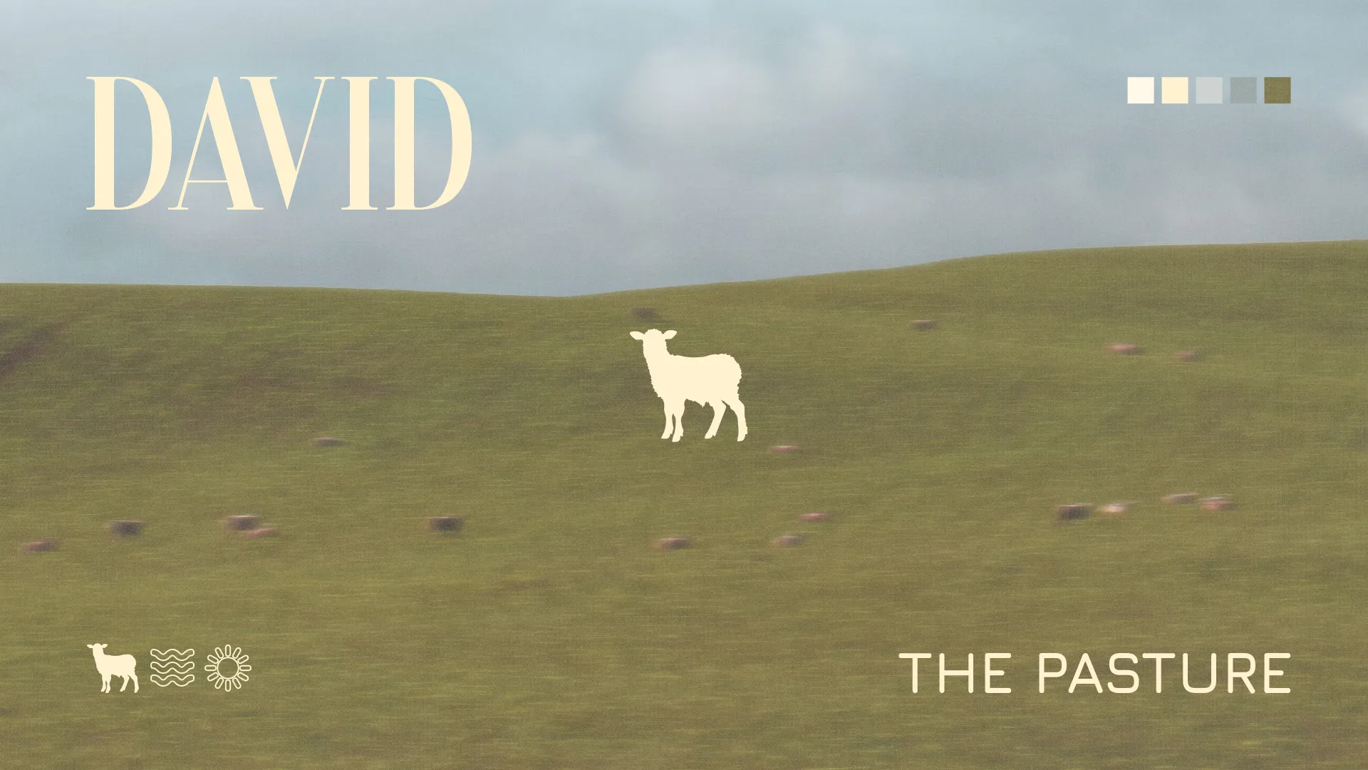 Pastoral scene with a sheep on green hills, symbolizing faith, guidance, and community in worship.
