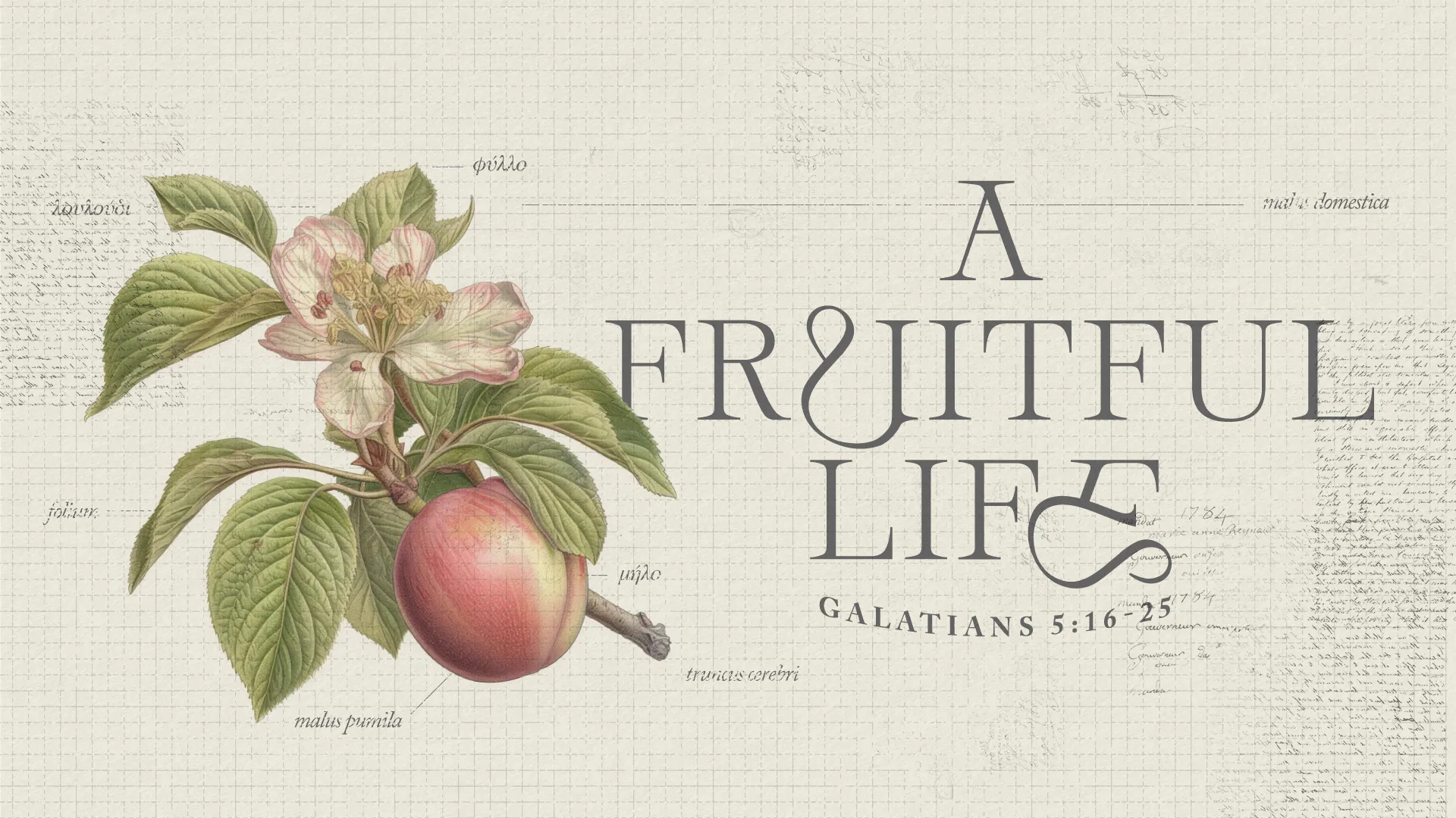 Vintage-style church media graphic with botanical apple illustration and text "A FRUITFUL LIFE" referencing Galatians 5:16-25.