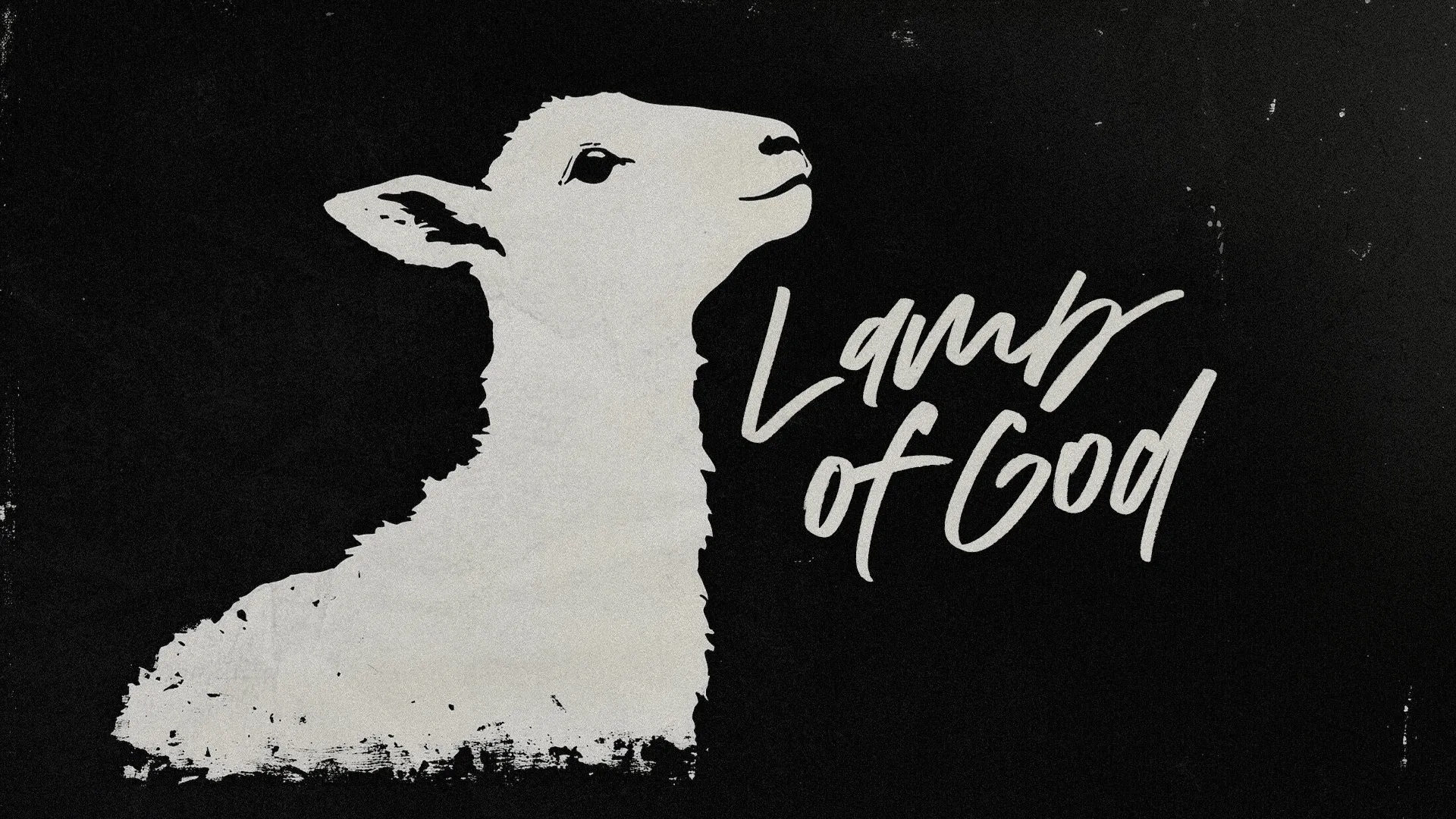 Minimalist church media graphic showing white silhouette of a lamb with "Lamb of God" text on black background