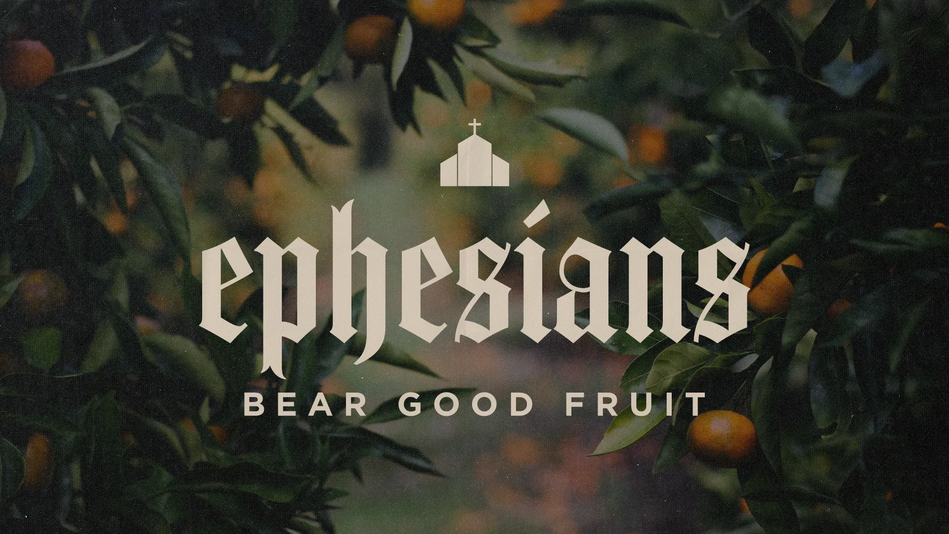Church media graphic for Ephesians series featuring gothic text over a background of fruit-bearing branches, with a small church icon