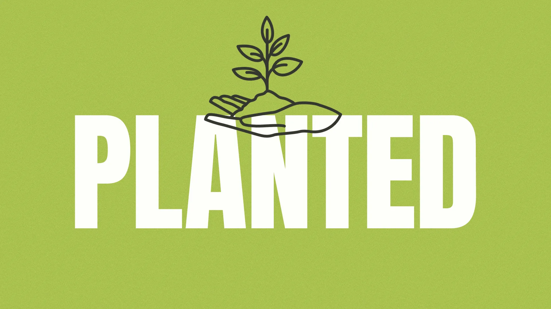The "Planted" church media template features a clean, minimalistic design that emphasizes growth and nurturing faith. The simple illustration and bold typography create a straightforward and impactful visual, perfect for themes around spiritual growth and community roots.