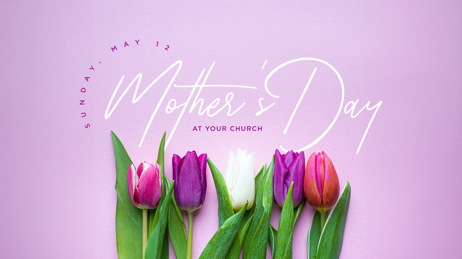 This 'Mother's Day at Your Church' graphic is beautifully simple, featuring elegant tulips that symbolize care and love. It's the perfect visual element for your church's Mother's Day celebrations, conveying warmth and appreciation for all mothers.