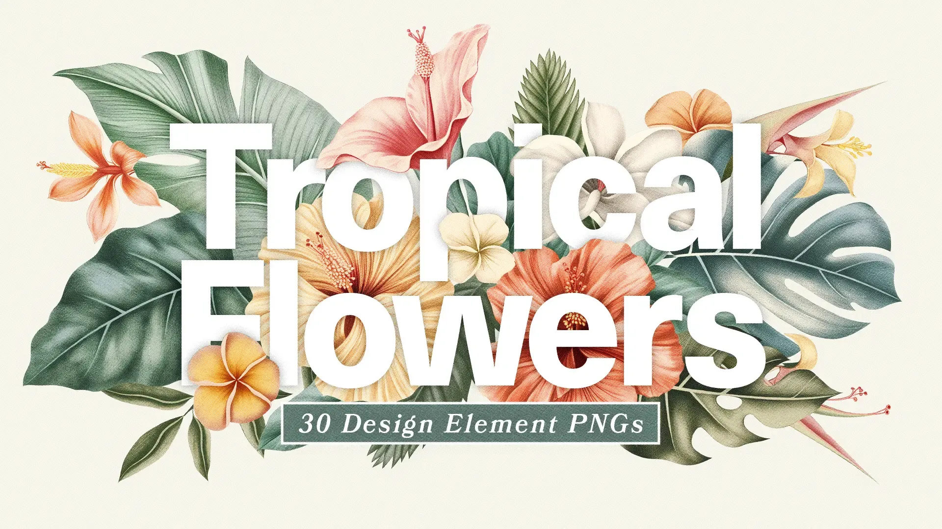 Add an exotic touch to your church media with our "Tropical Flowers" graphics collection, a set of 30 design element PNGs that captures the essence of God's creation in vibrant, detailed imagery.