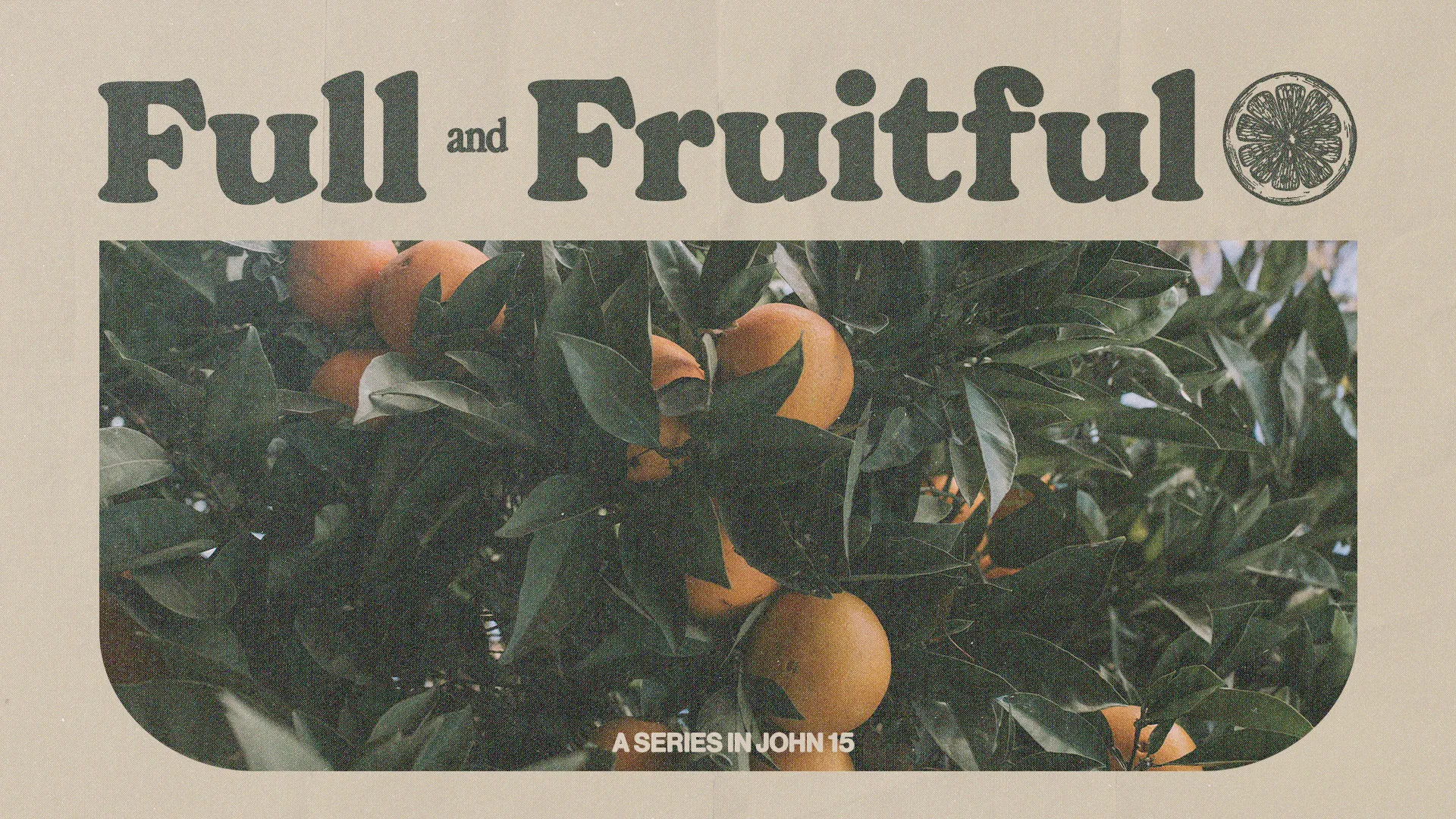 Nourish spiritual growth in your congregation with this lush and verdant church media graphic, ideal for series on abiding in Christ and bearing spiritual fruit.