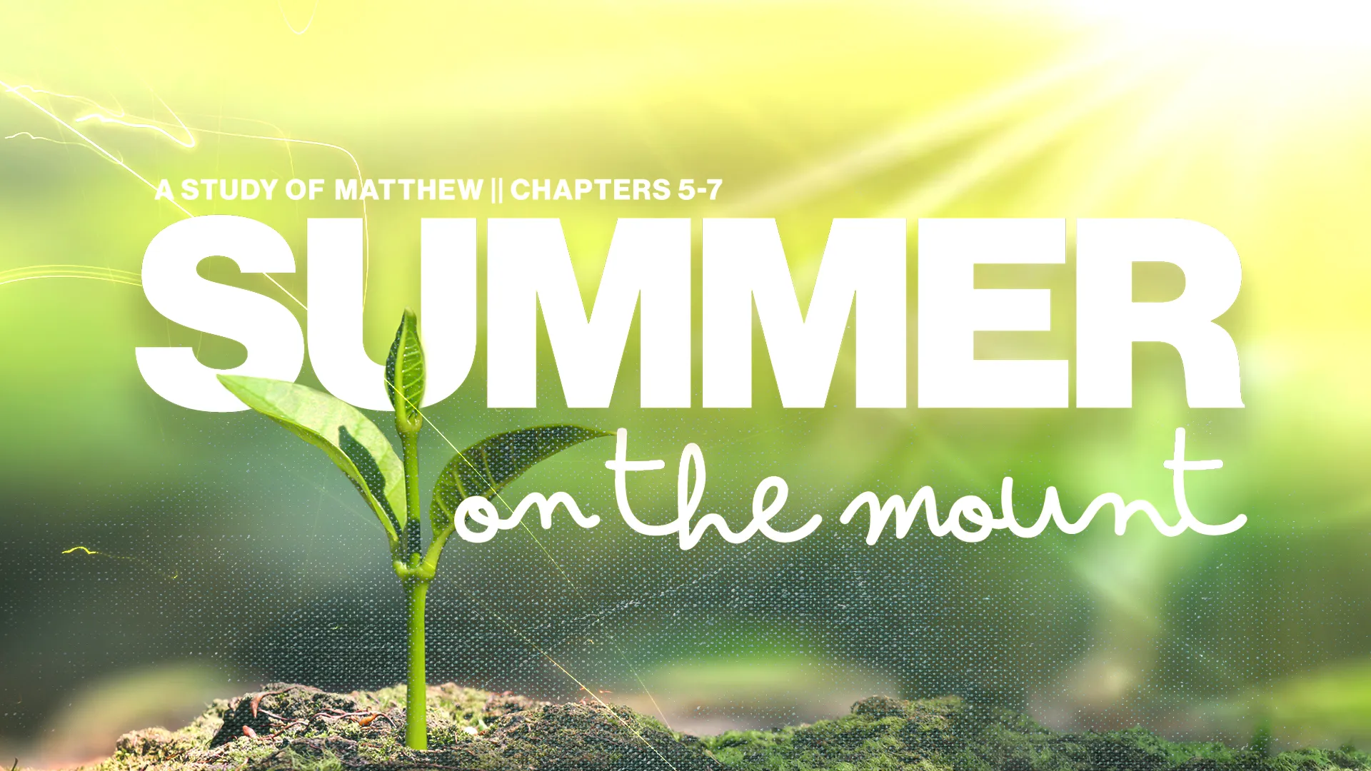 Dive into the heart of Jesus’ teachings with this refreshing summer series graphic, perfect for guiding your congregation through the enlightening chapters of Matthew.