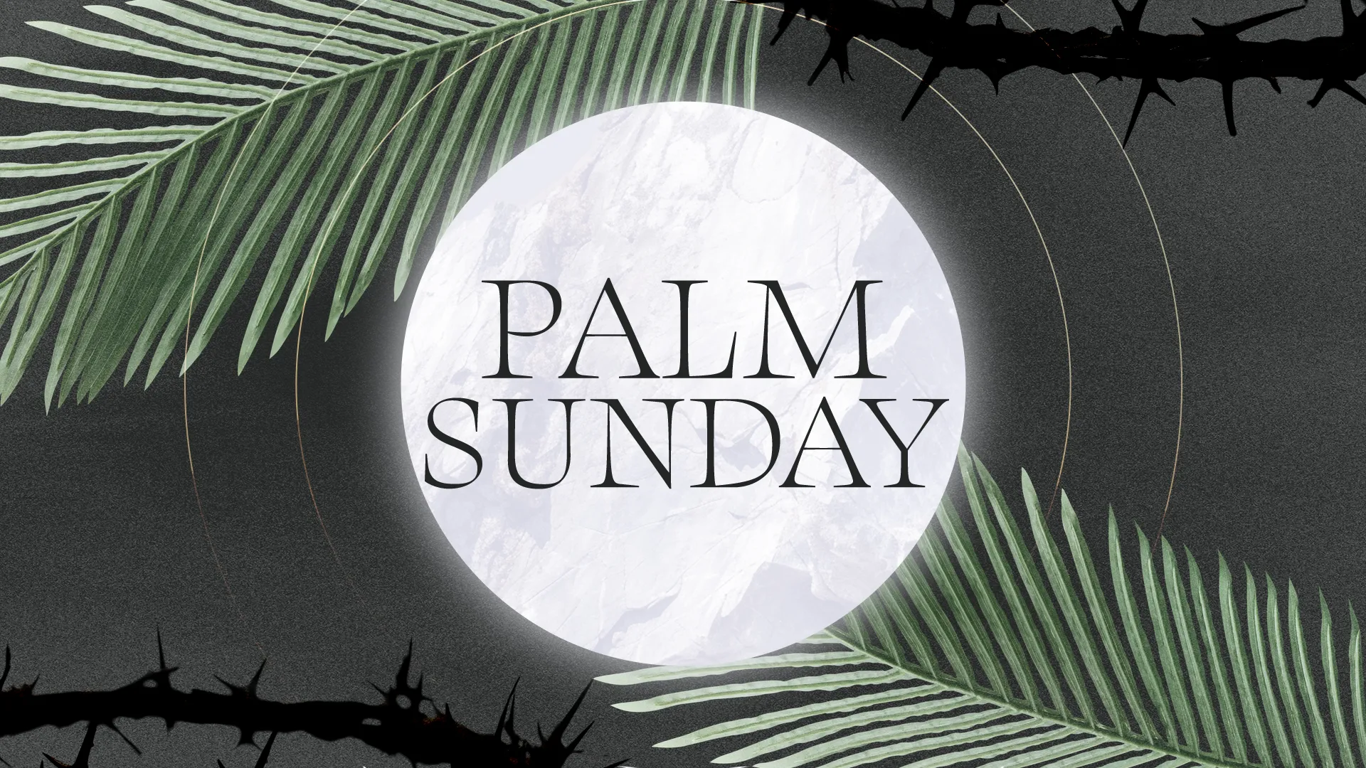 Celebrate Palm Sunday with this serene and symbolic graphic, perfect for inviting your congregation to remember the triumphant entry of Jesus into Jerusalem.